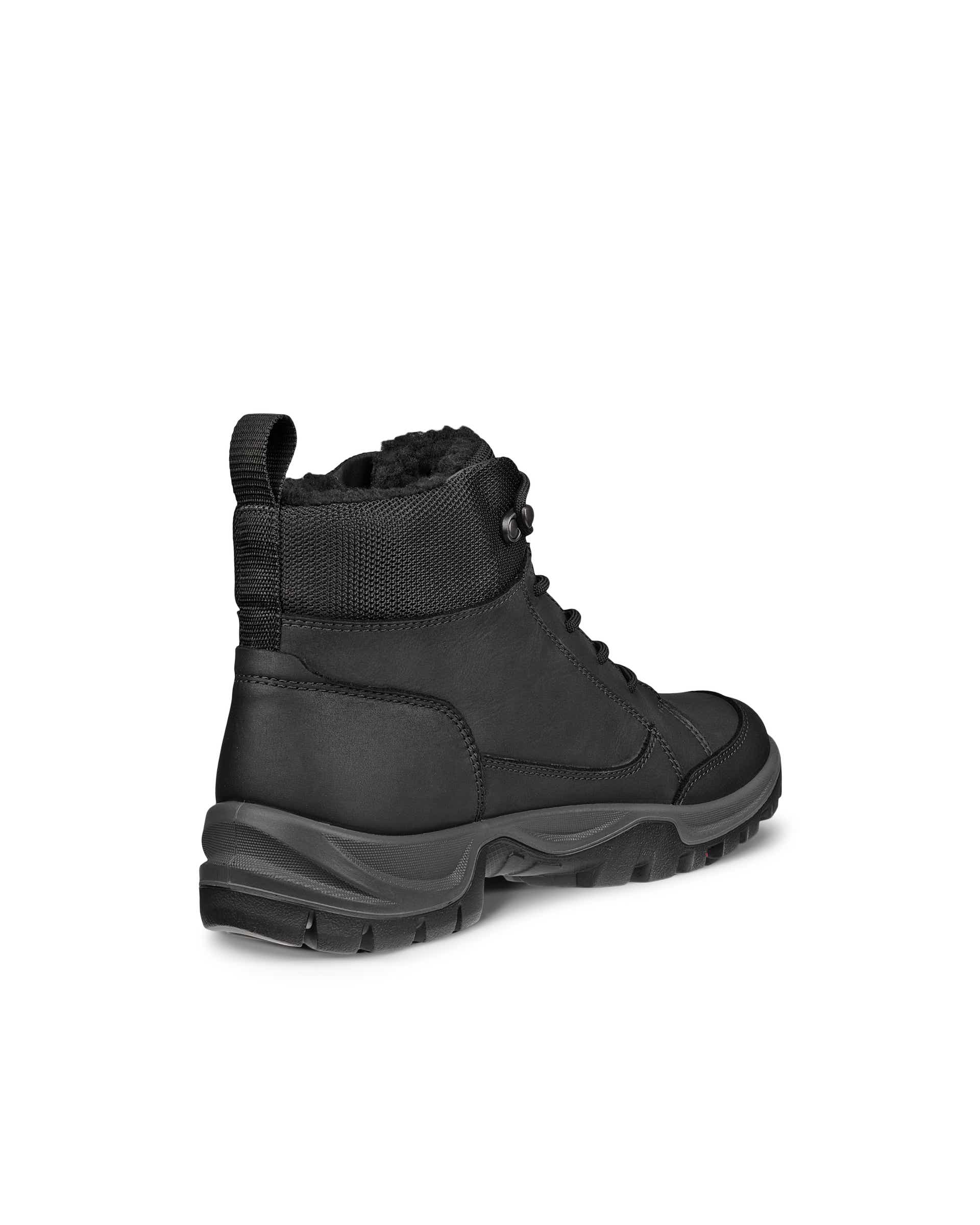 ECCO Xpedition III M WP/WL - Noir - Back