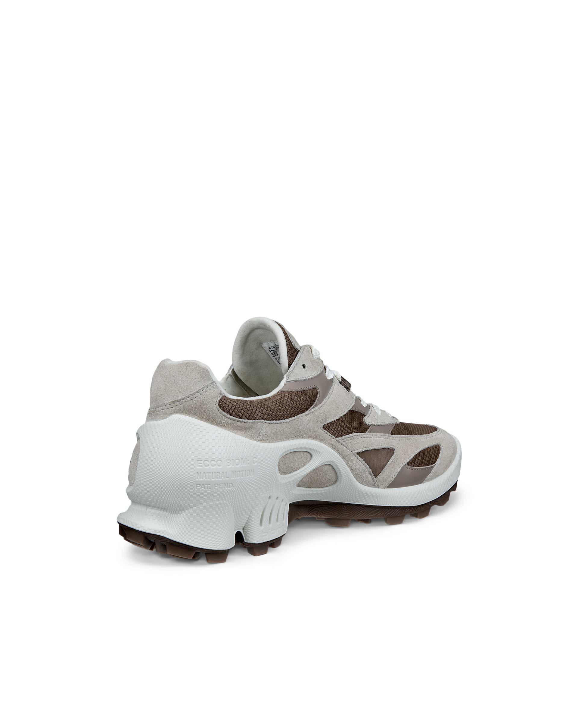 ECCO BIOM C-TRAIL M RETRO - Brown - Back