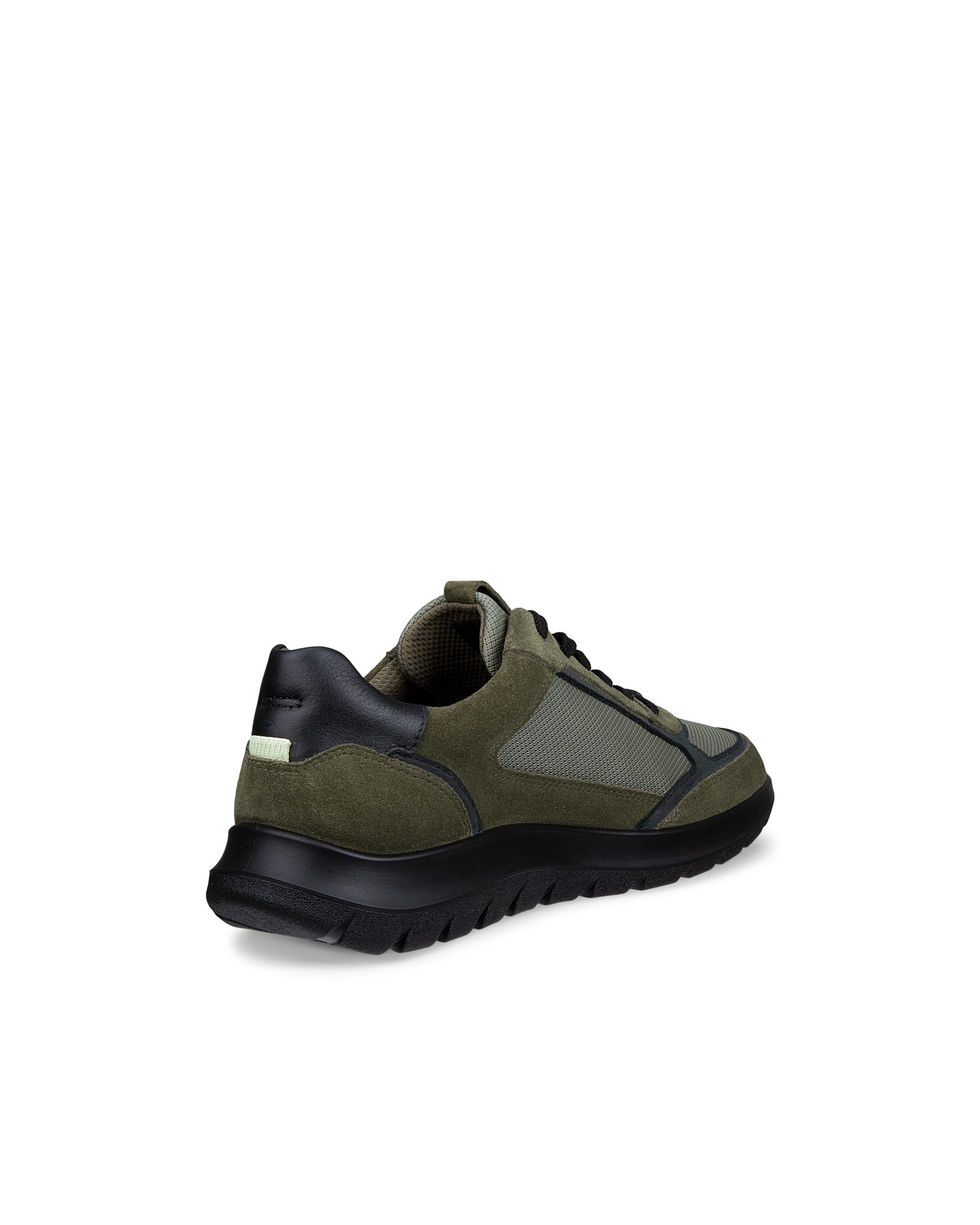 ECCO® CITY STRIDE sneakers i læder til herrer - Grøn - Back