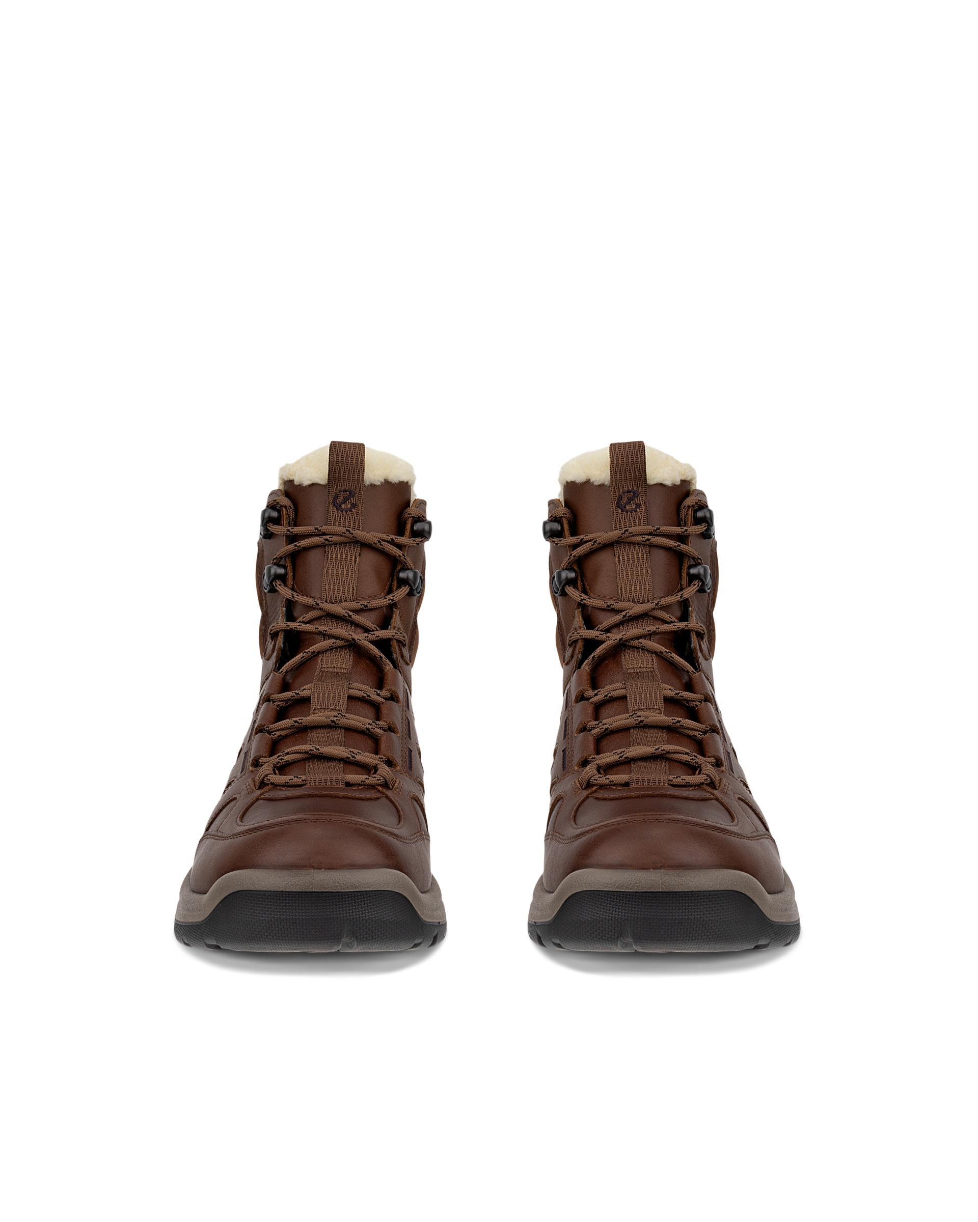 ECCO OFFROAD W BOOT WARM WP - Brown - Front pair