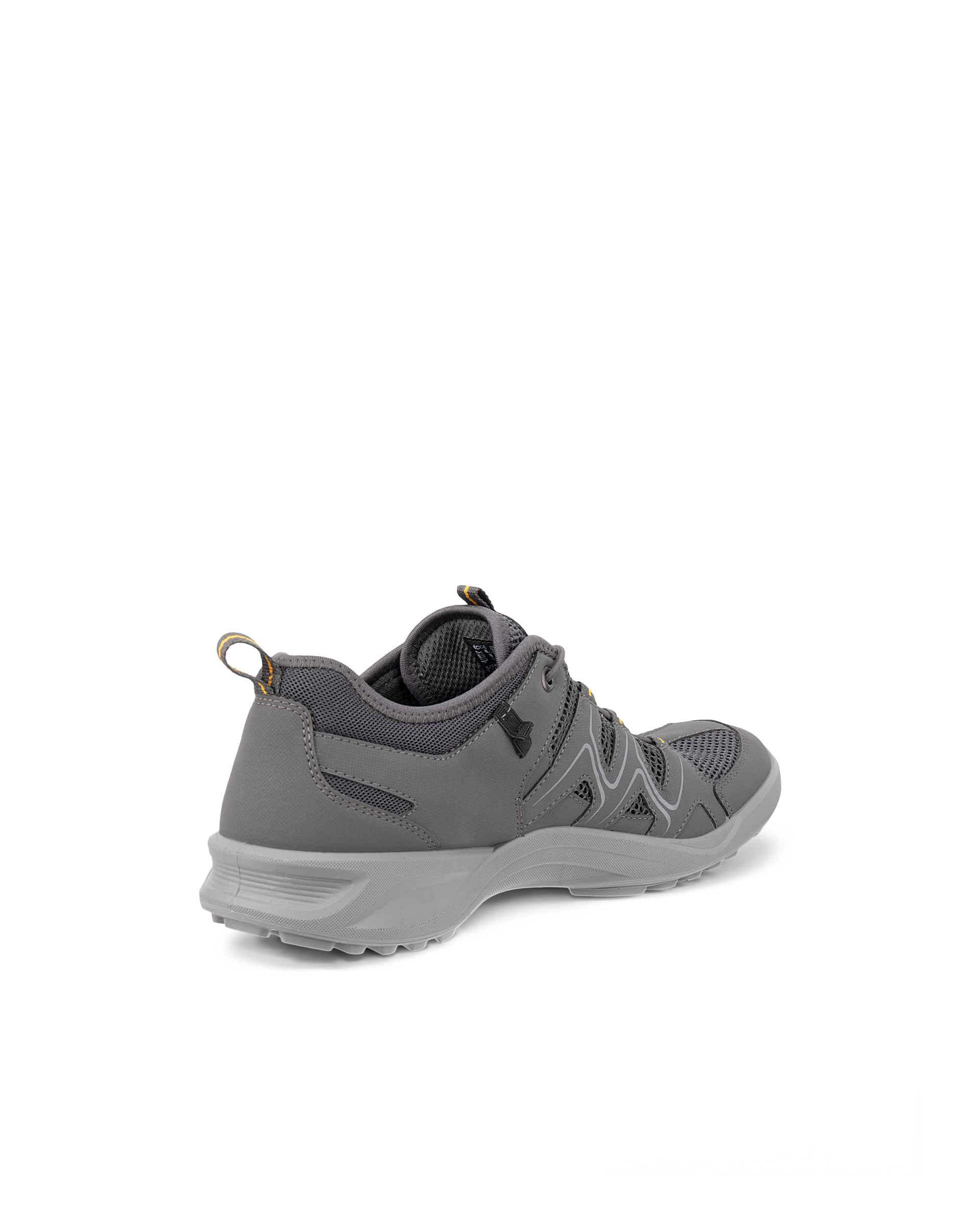Sapatos caminhada homem ECCO® Terracruise LT - Cinzento - Back