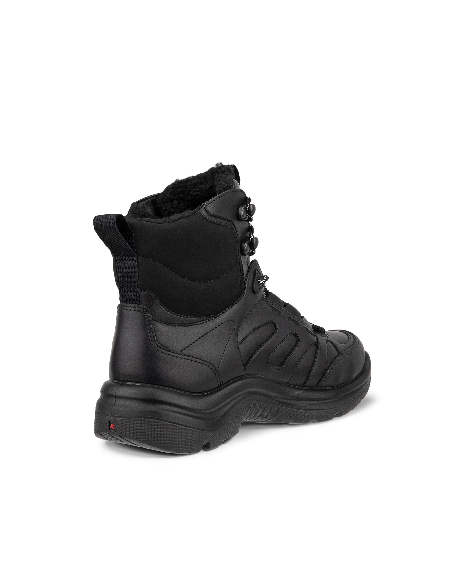 Women's ECCOยฎ Offroad Leather Waterproof Mid-Cut Outdoor Boot - Black - Back