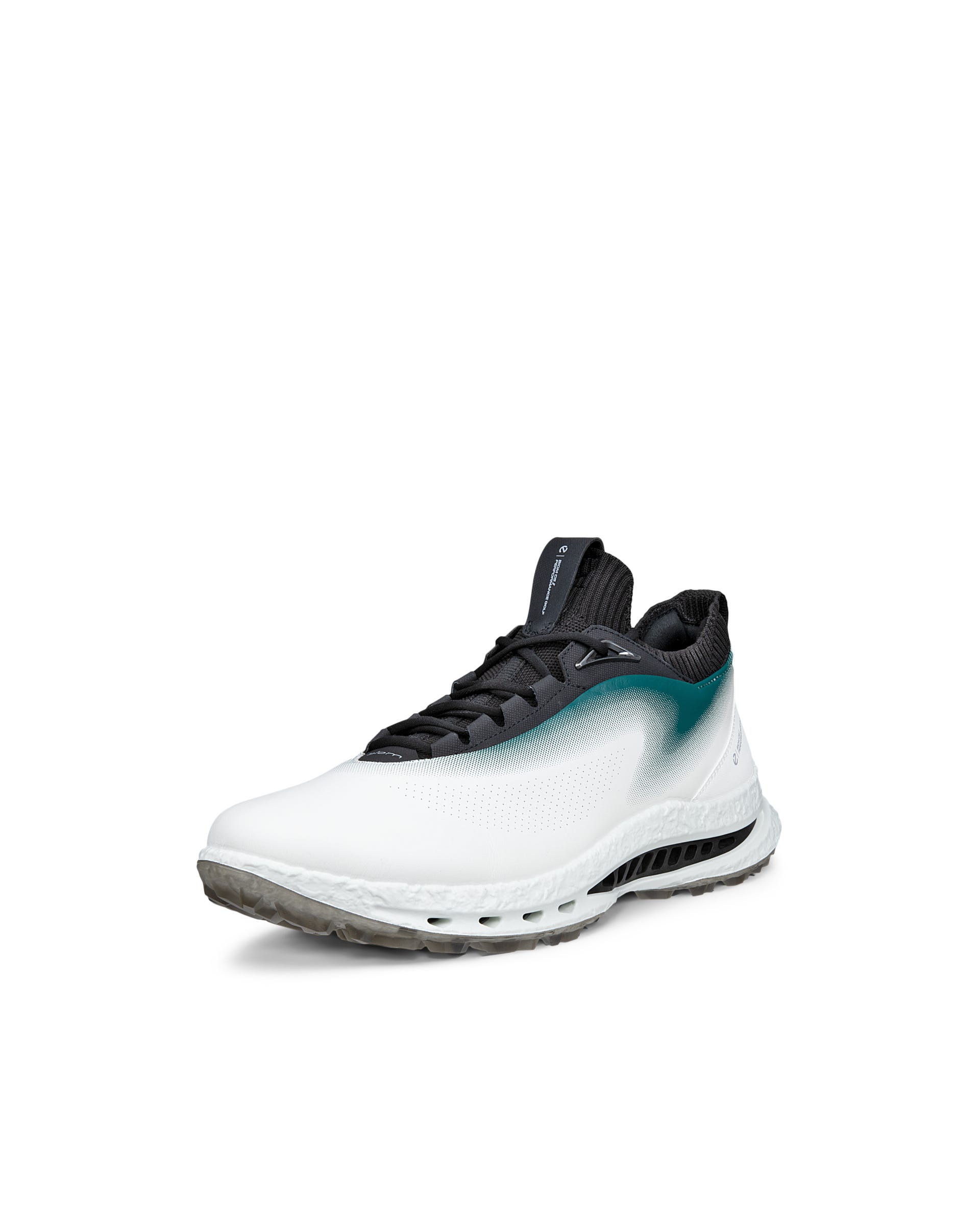 ECCO GOLF BIOM C5 MEN メンズ レザーGore-Texゴルフシューズ - ホワイト - Outside