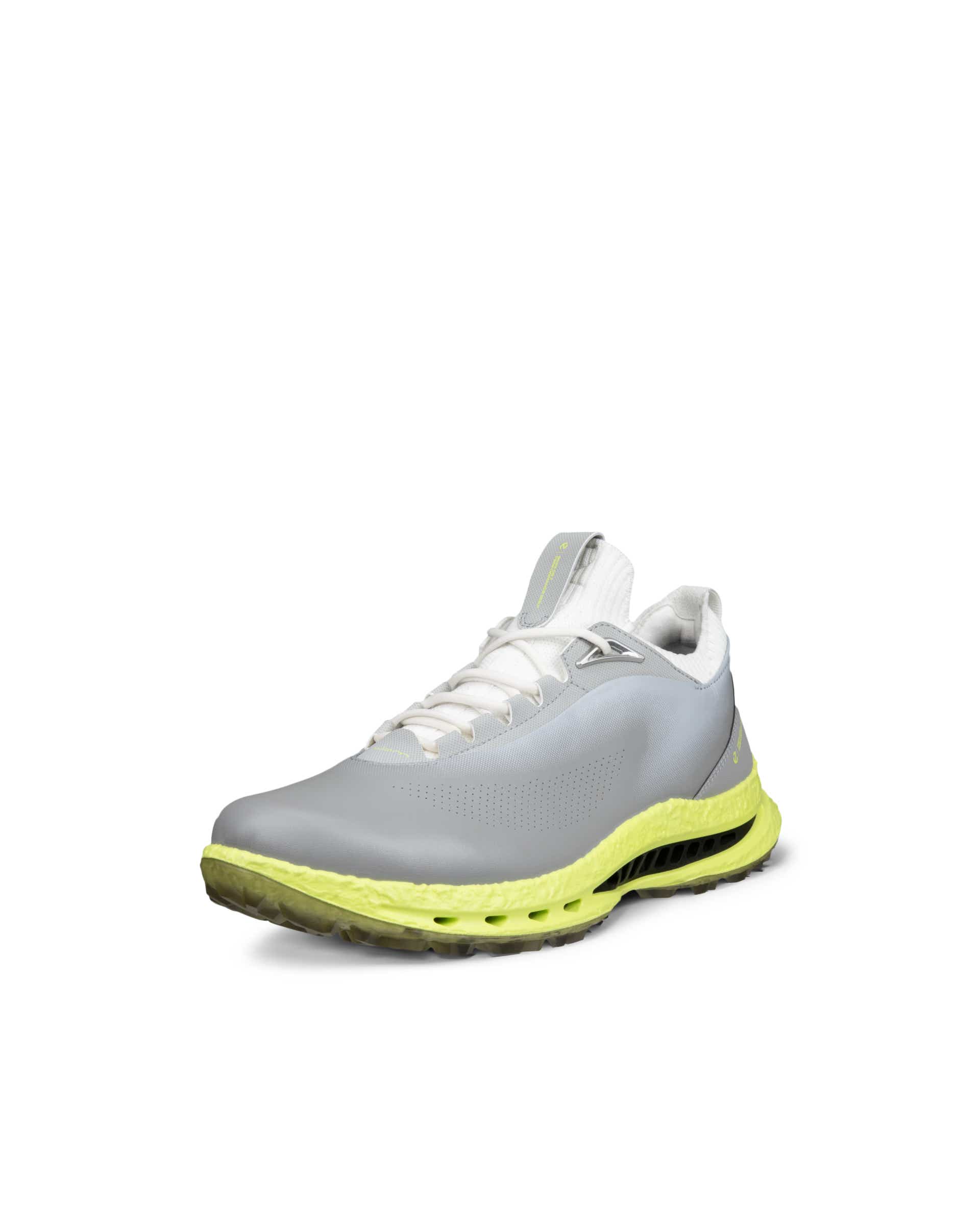 Men's ECCO® Golf Biom C5 Leather Gore-Tex Golf Shoe - Gray - Main