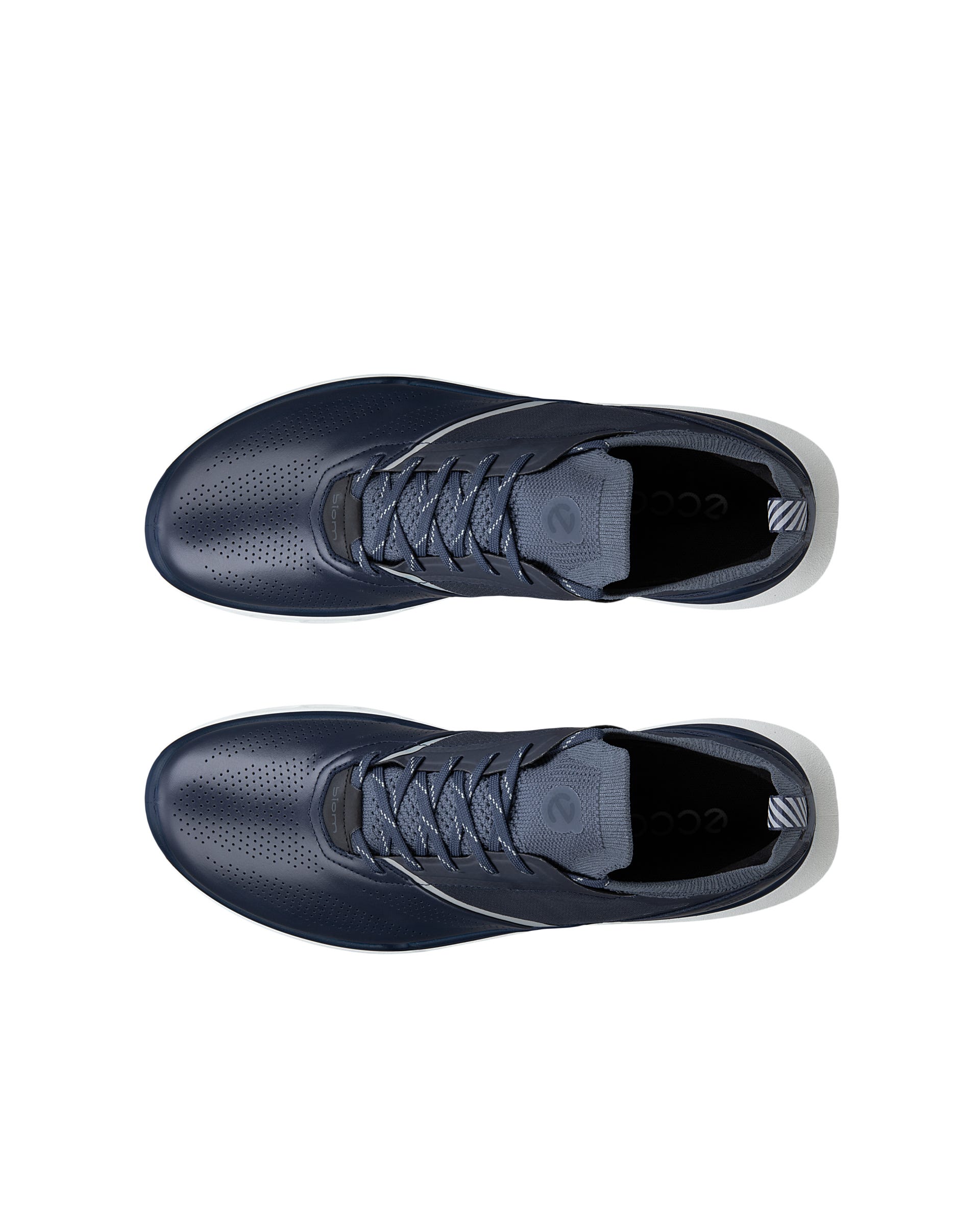 ECCO BIOM 720 MEN メンズ レザーGore-Texスニーカー | ブルー