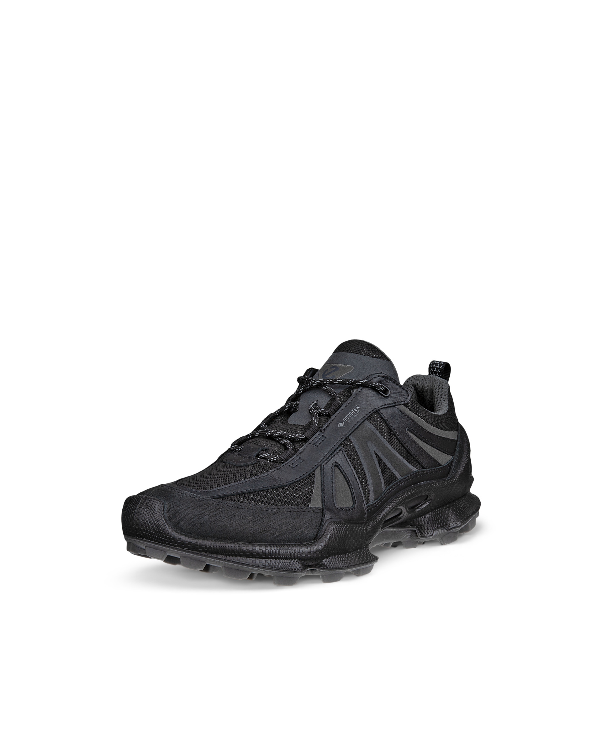 ECCO BIOM C-TRAIL M INV-GTX - Black - Main