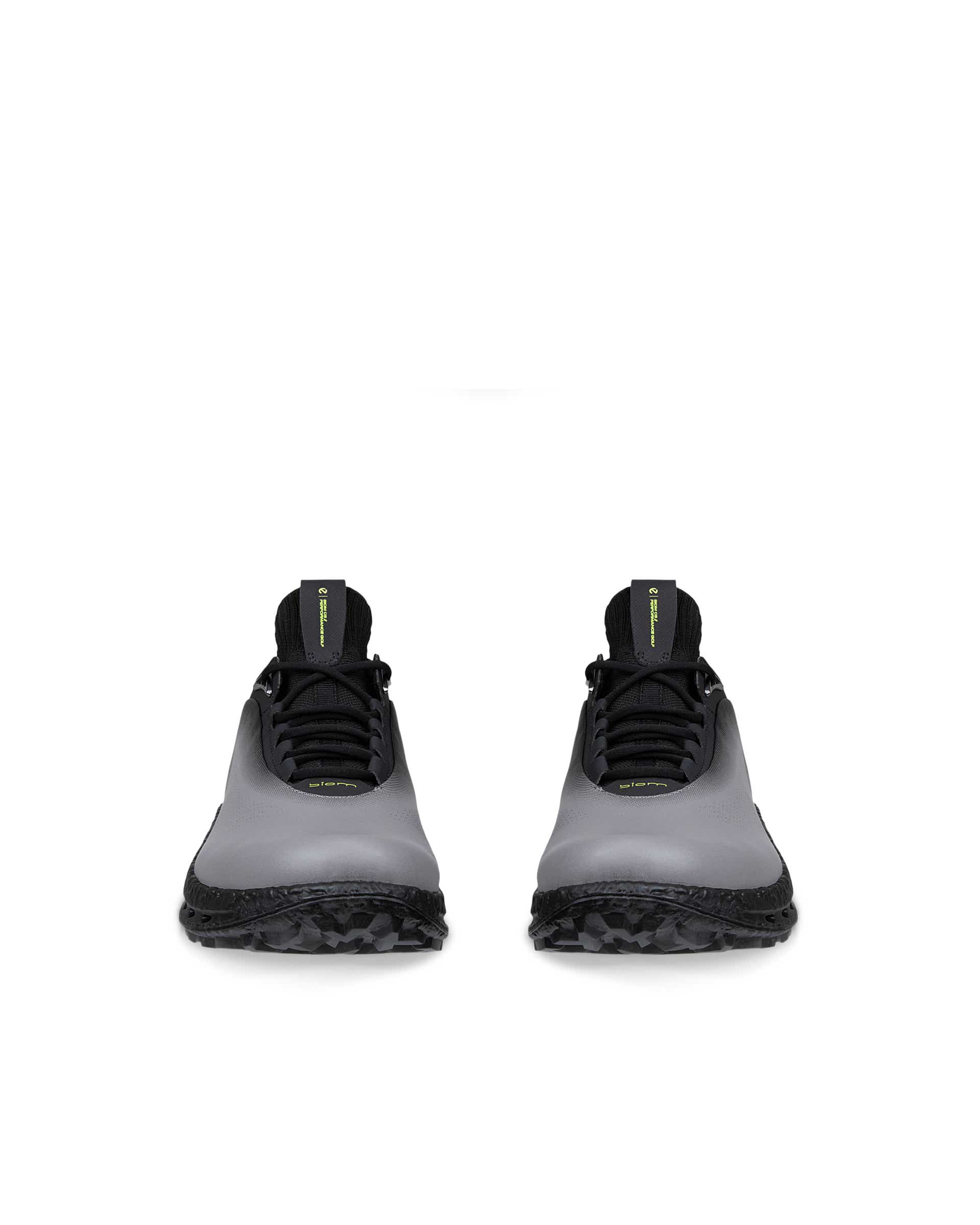 Men's ECCO® Golf Biom C5 Leather Gore-Tex Golf Shoe - Gray - Front pair