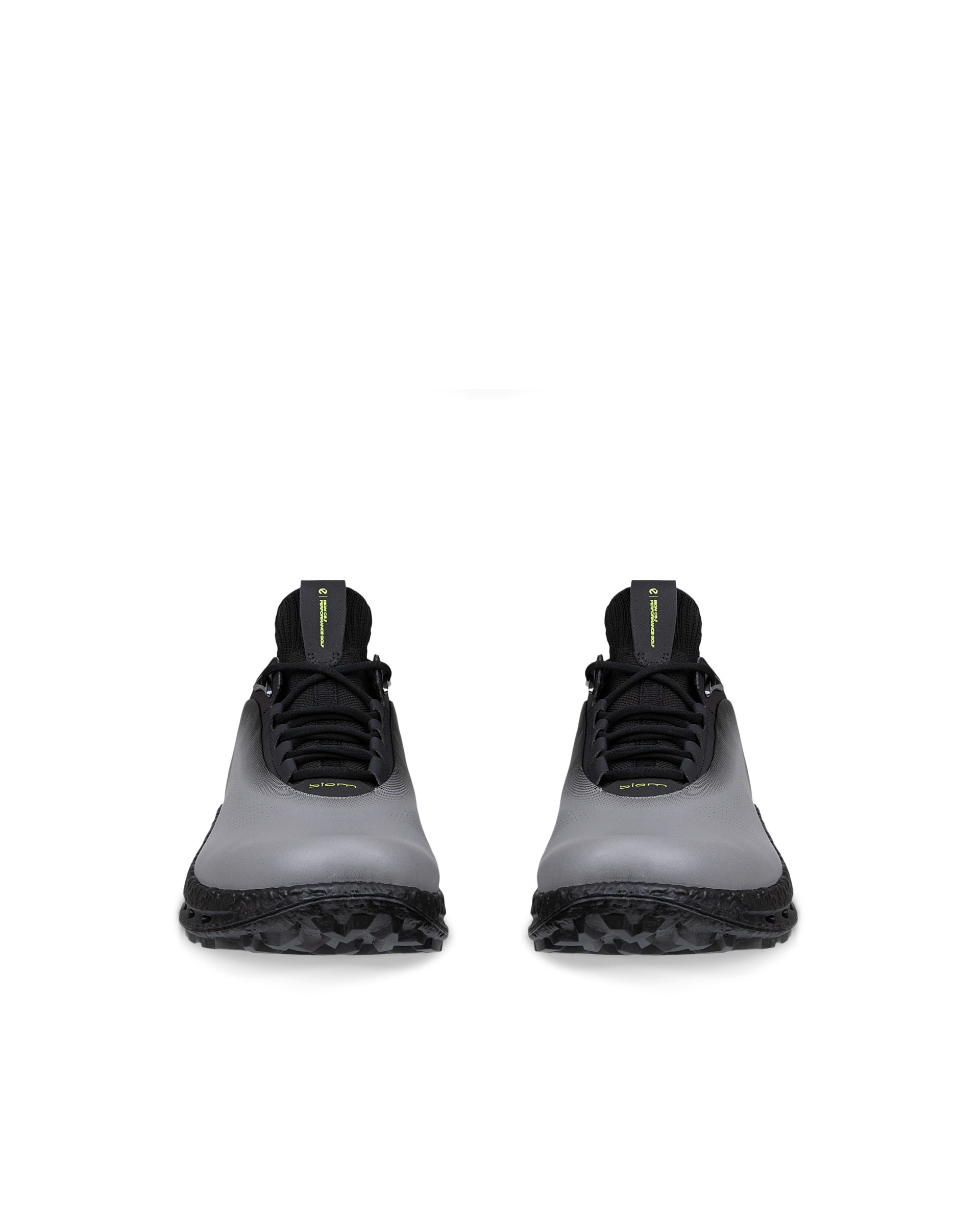 Men's ECCO® Golf Biom C5 Leather Gore-Tex Golf Shoe - Gray - Front pair