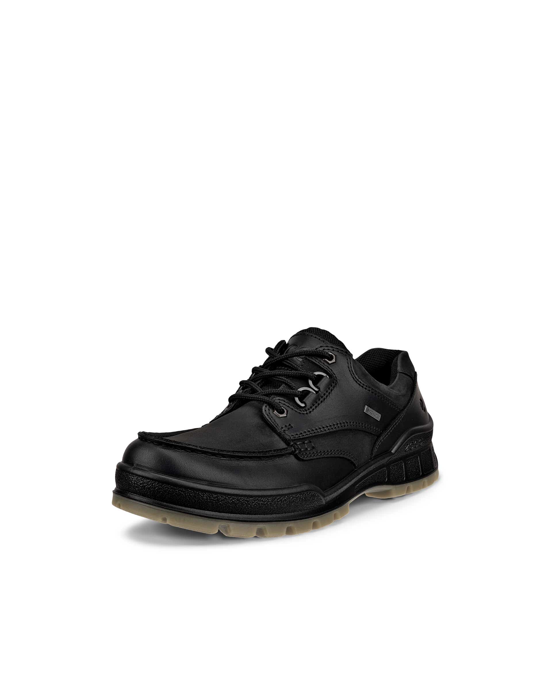 Men's ECCO® Track 25 Leather Gore-Tex Outdoor Trainer - Black - Main