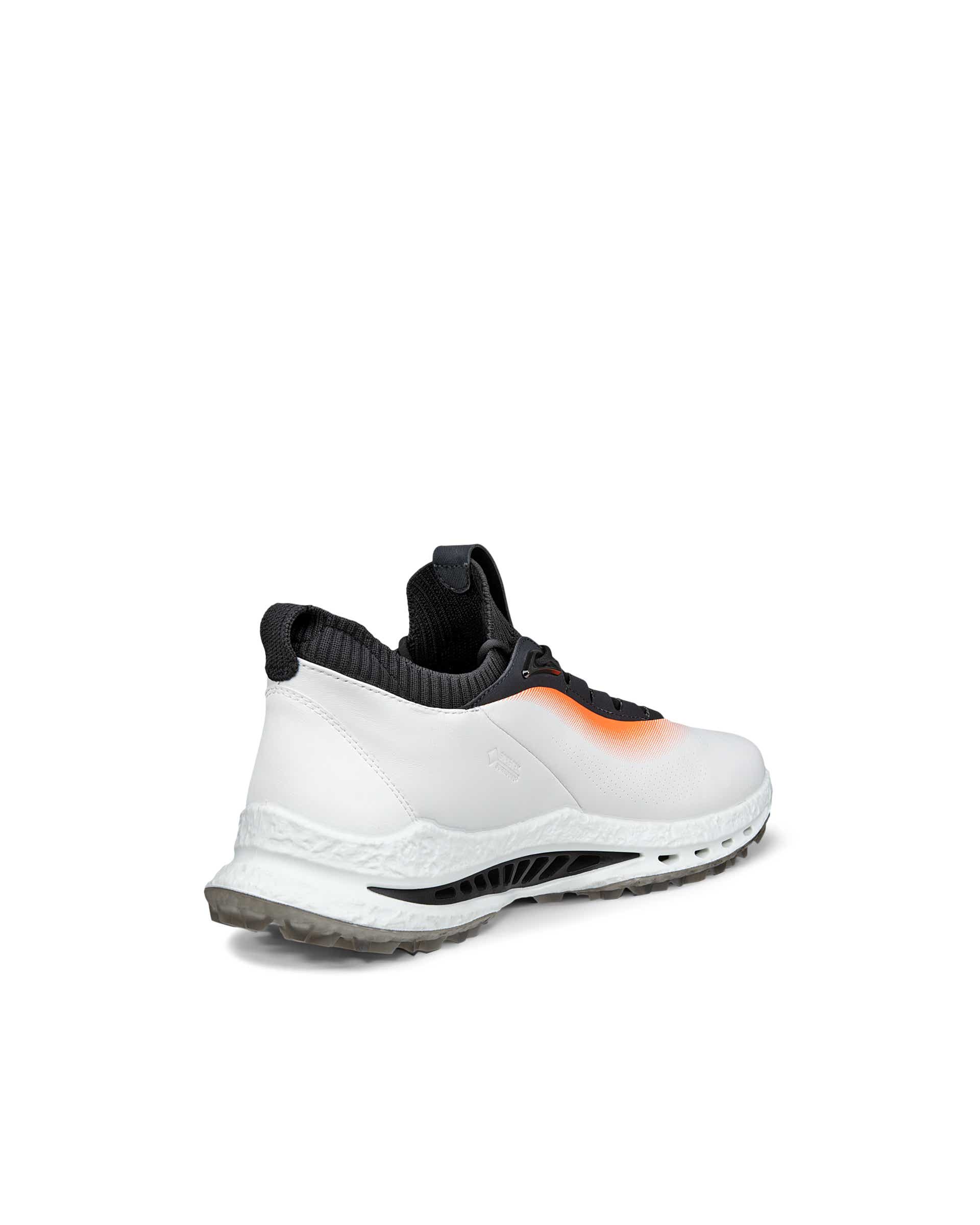 ECCO® GOLF BIOM C5 Gore-Tex-iga nahast golfijalats meestele - Valge - Back