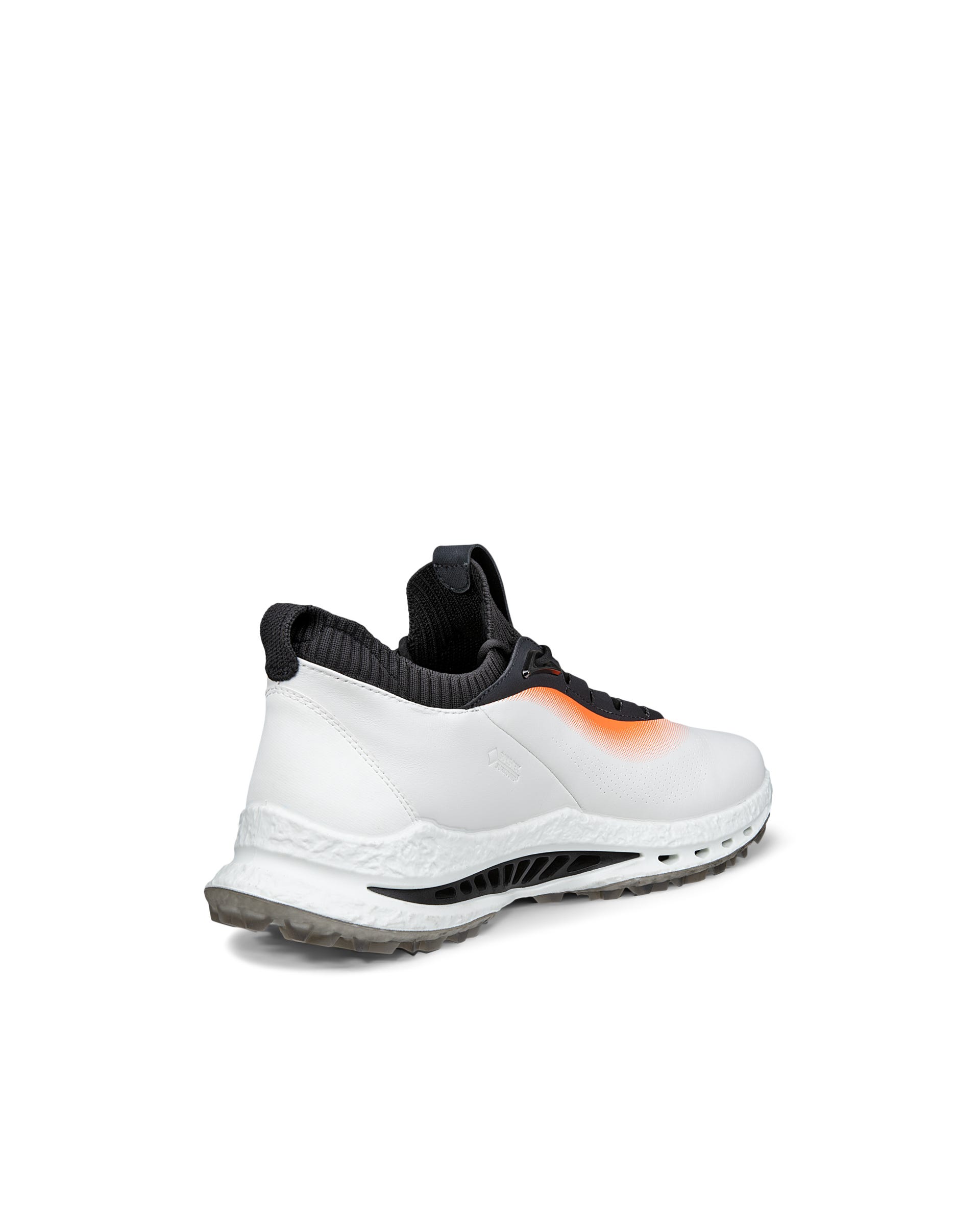 ECCO® GOLF BIOM C5 Gore-Tex-iga nahast golfijalats meestele - Valge - Outside