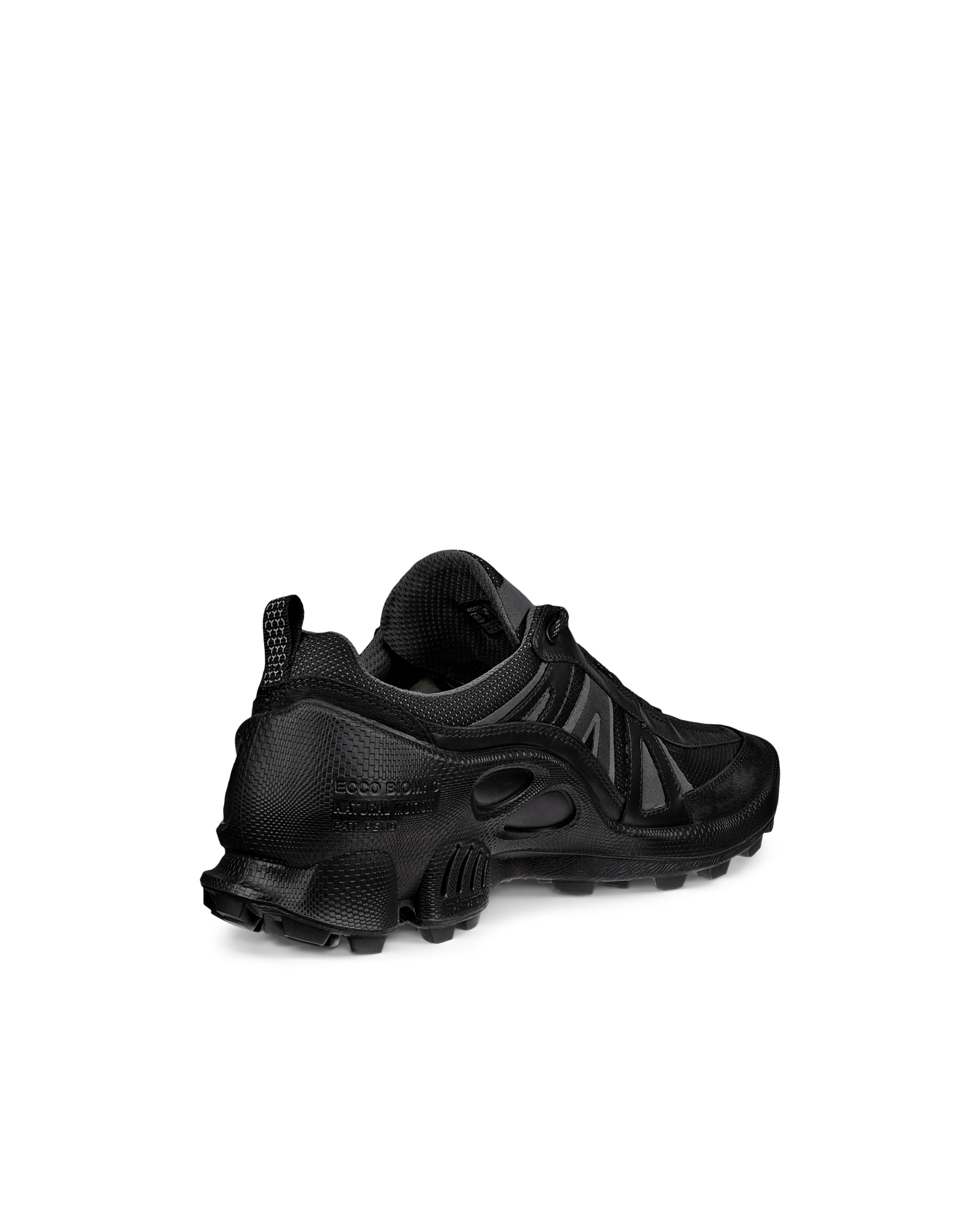 ECCO BIOM C-TRAIL M INV-GTX - Black - Back