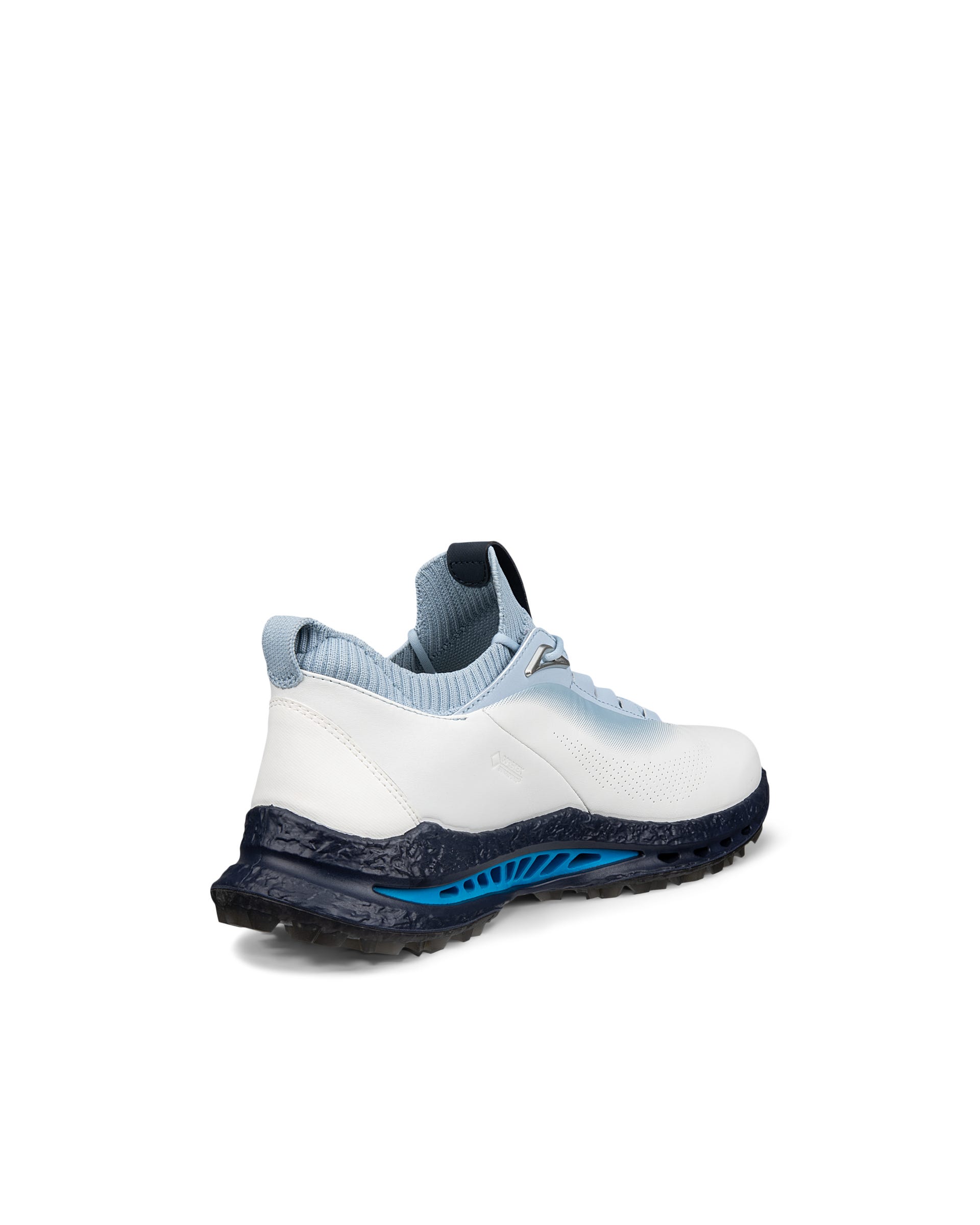 ECCO BIOM C5 MEN'S GOLF SHOE - White - Back