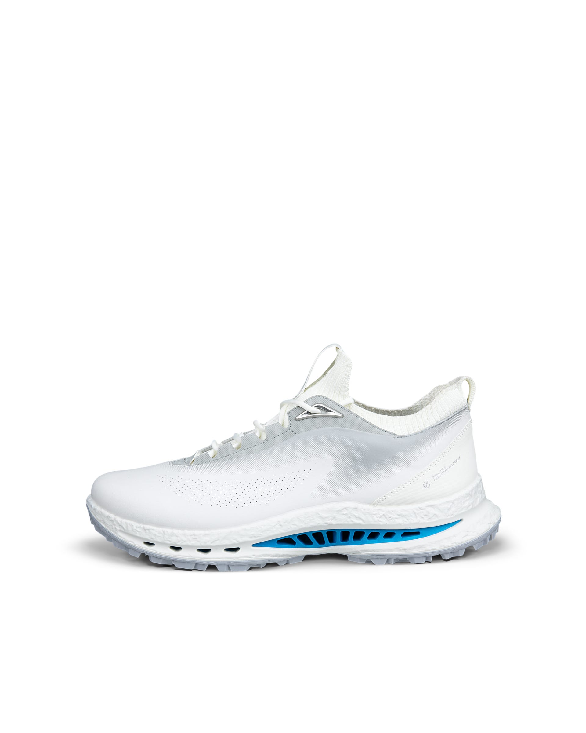 ECCO® GOLF BIOM C5 Herren Golfschuh aus Leder mit Gore-Tex - Weiß - Outside