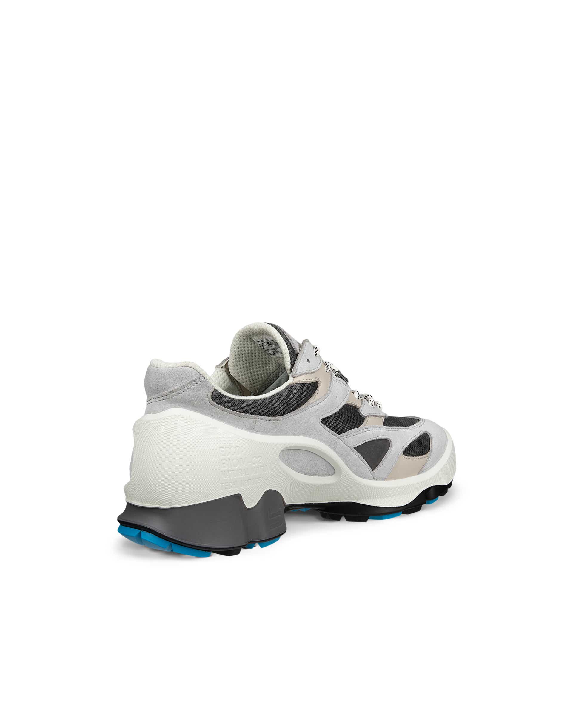 ECCO® BIOM C2-TRAIL Mockasko för utomhusbruk med Gore-Tex herr - Grå - Back
