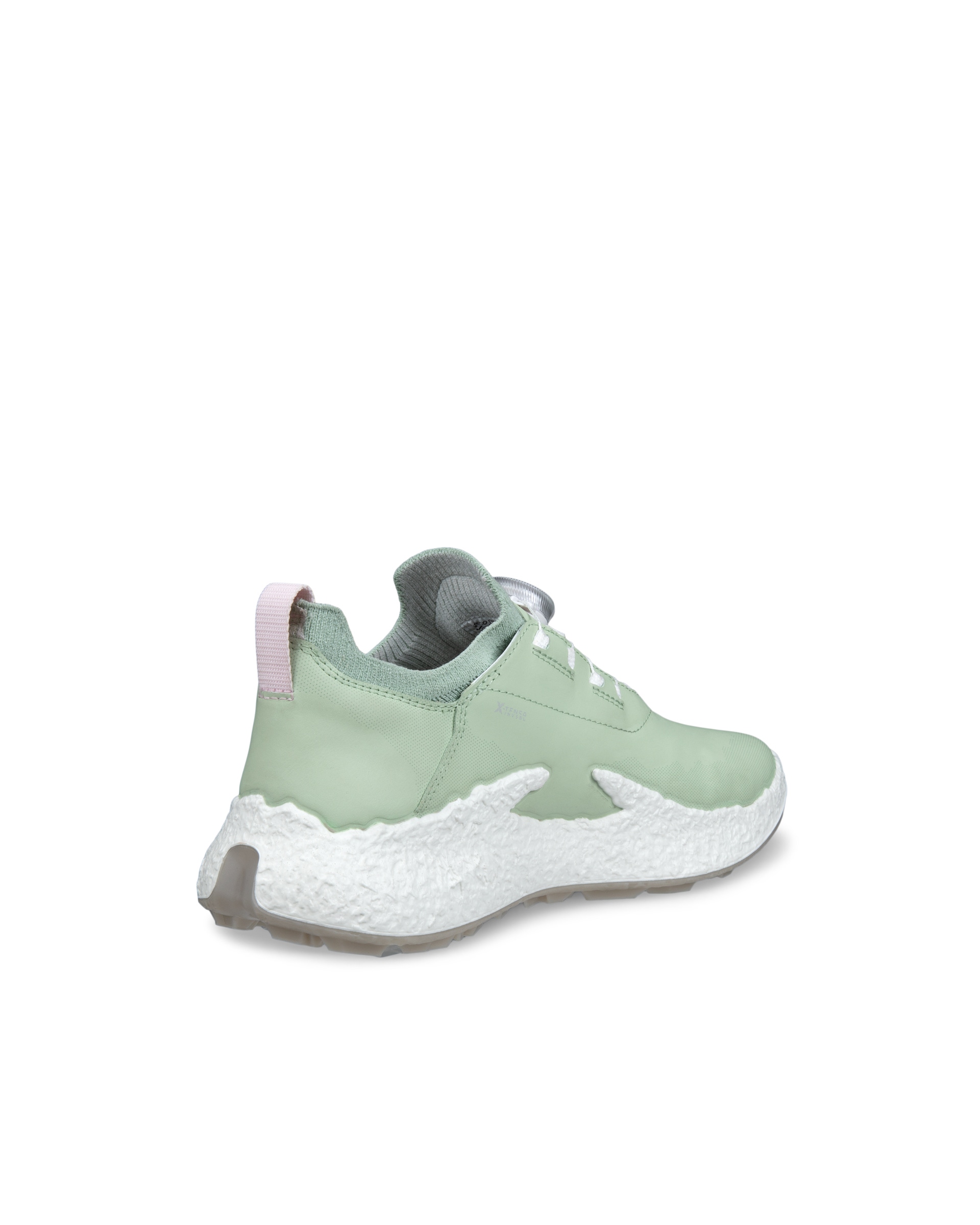 ECCO Golf BIOM H5 Hybrid Women ウィメンズ レザーウォータープルーフゴルフシューズ - グリーン - Back