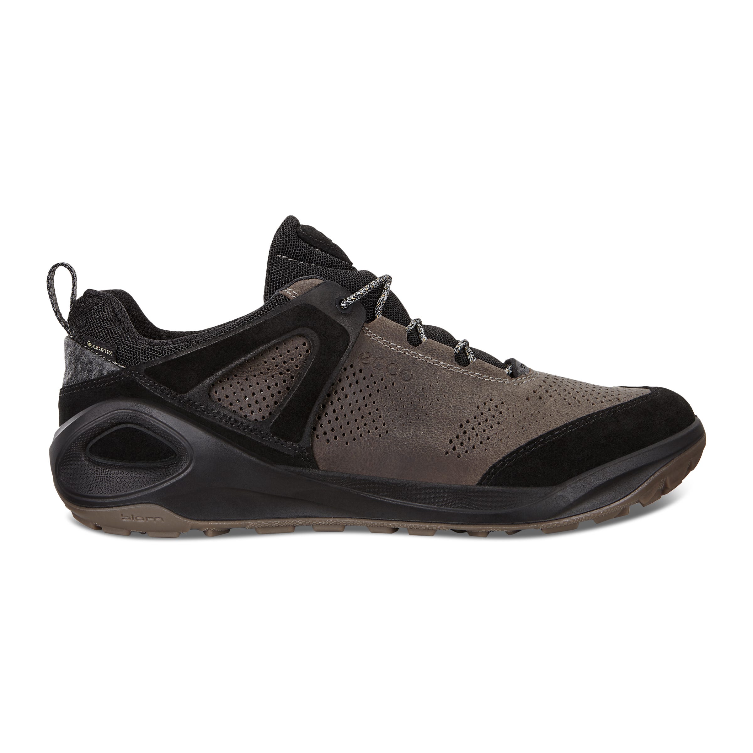 ECCO BIOM 2GO M LOW GTX - Brown - Outside