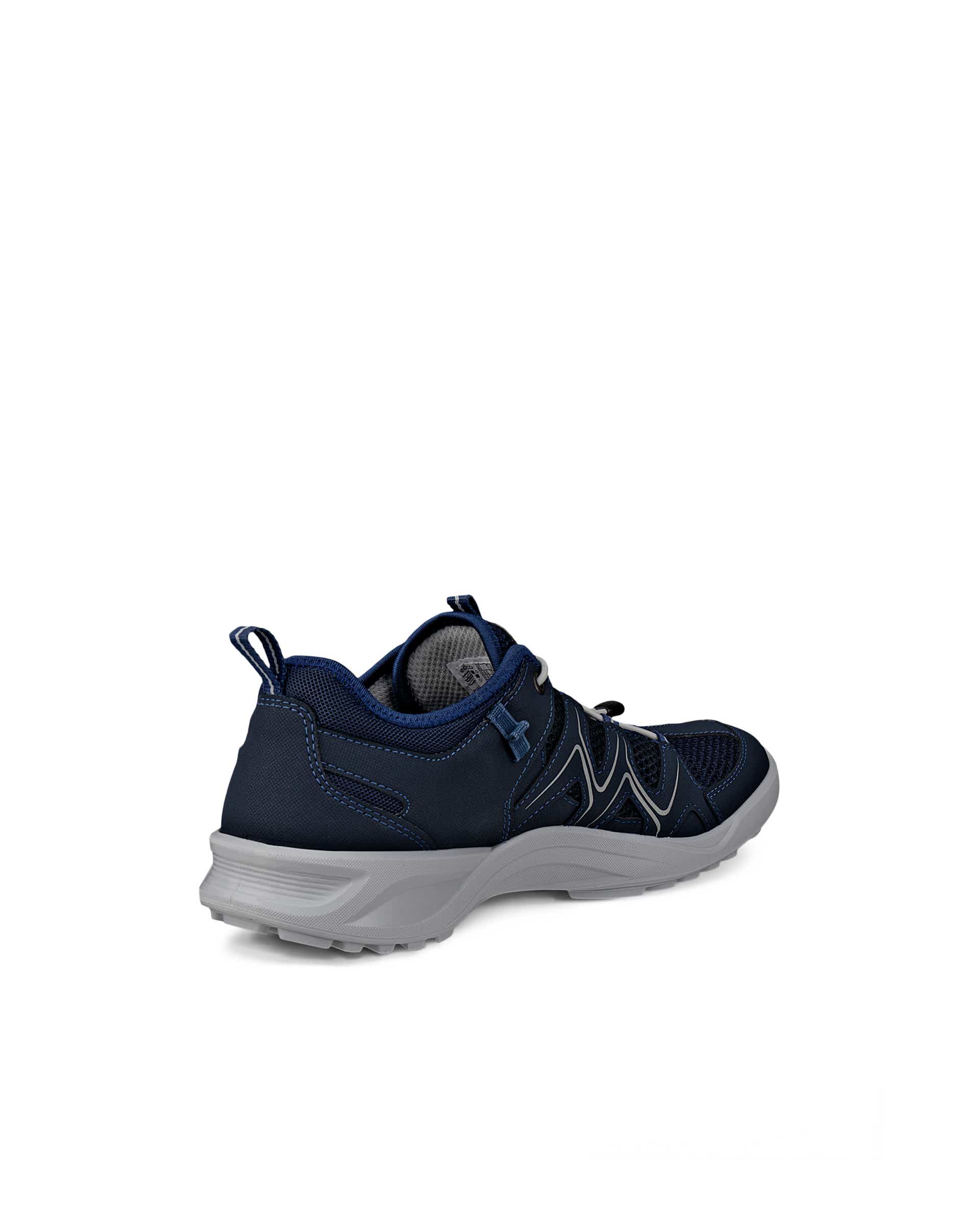 Pánská outdoorová obuv ECCO® Terracruise LT - Modrá - Back