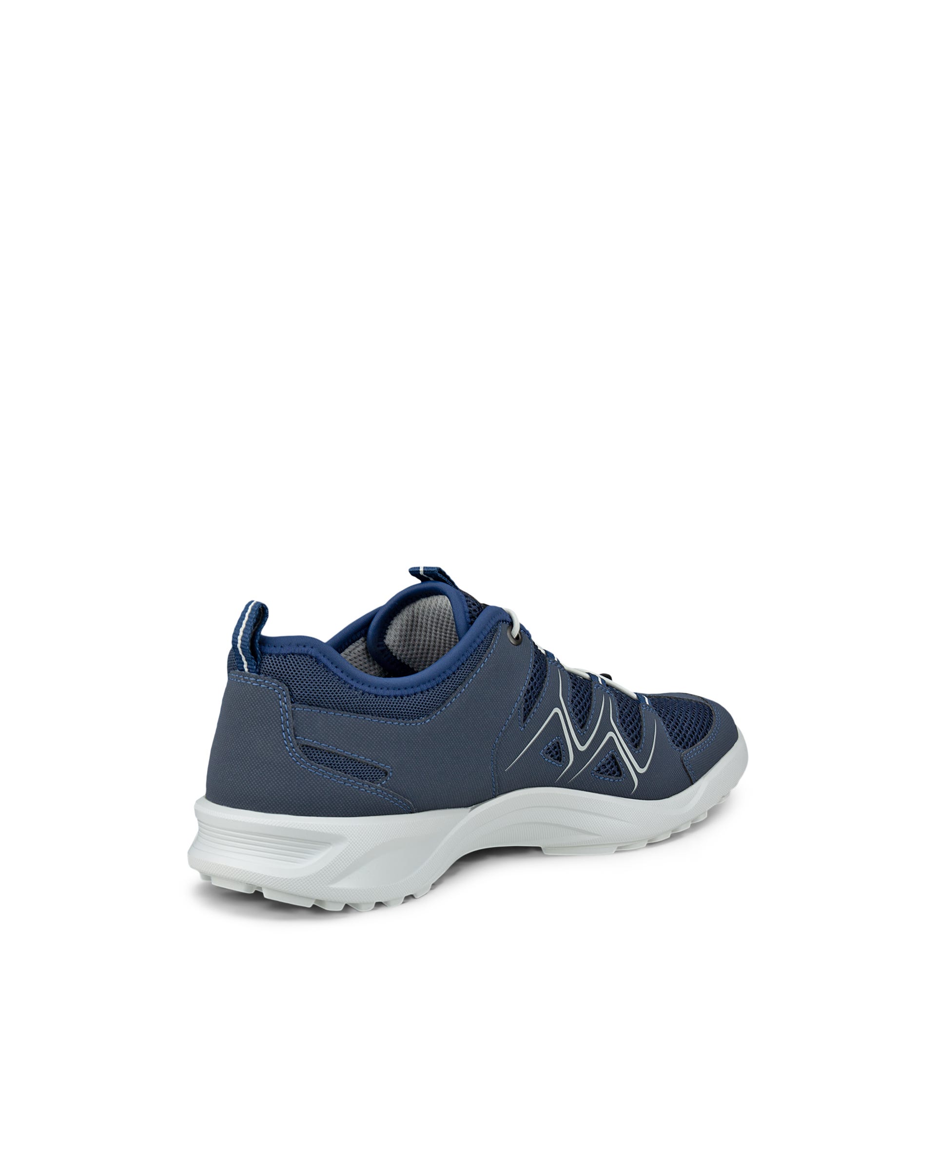 Men's ECCO® Terracruise LT Outdoor Shoe - Blue - Back