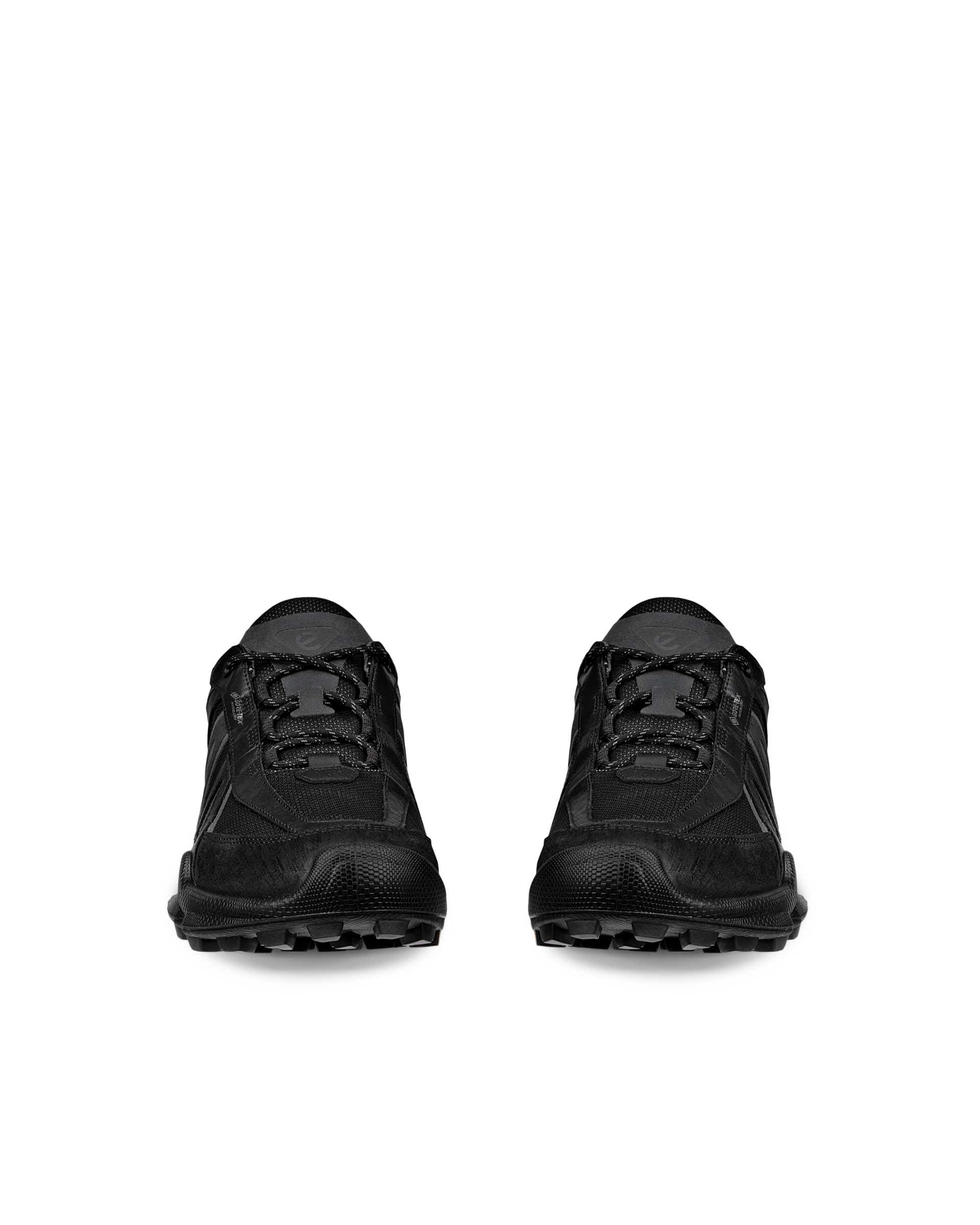 ECCO BIOM C-TRAIL M INV-GTX - Black - Front pair