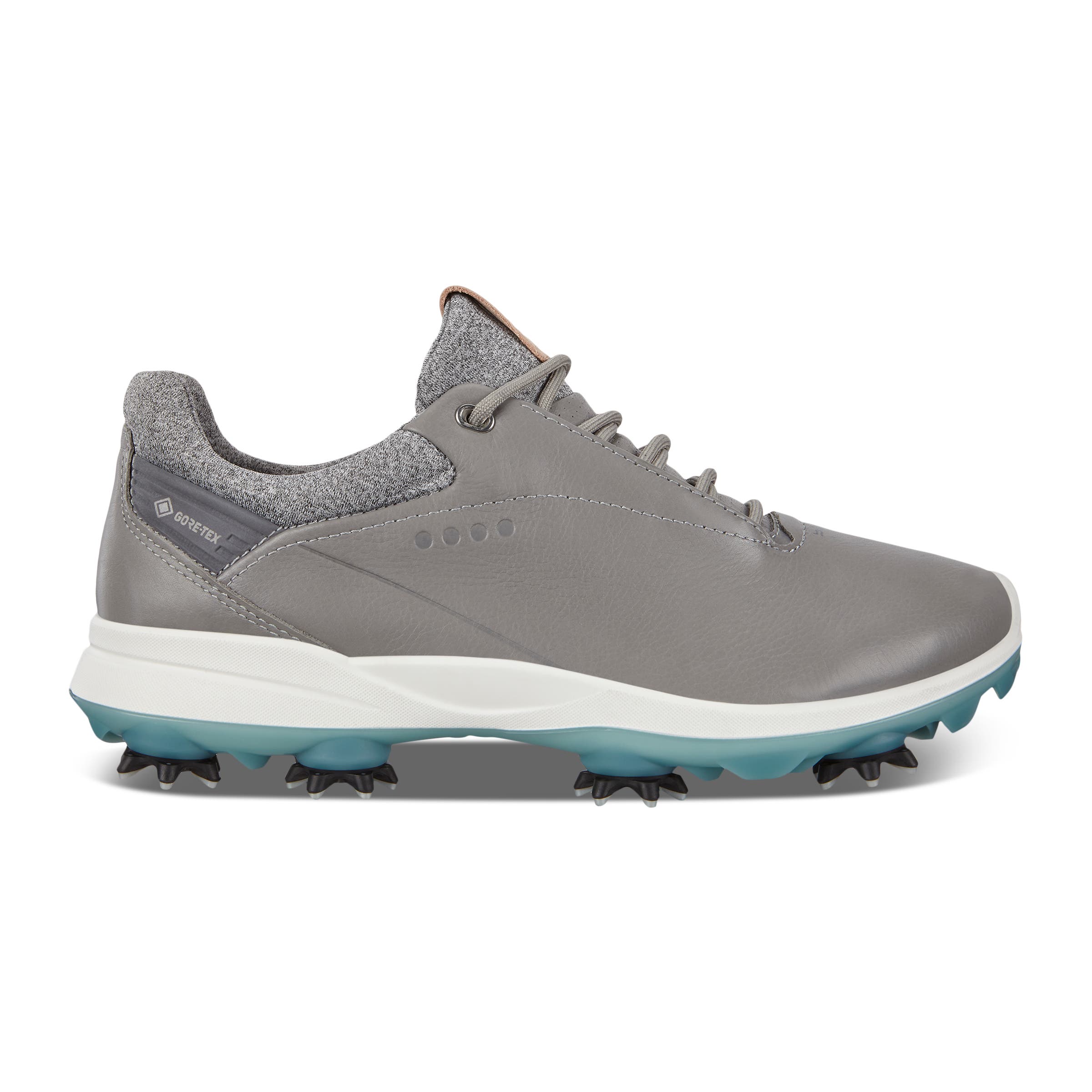 ECCO Golf BIOM G3 - Grey - Outside