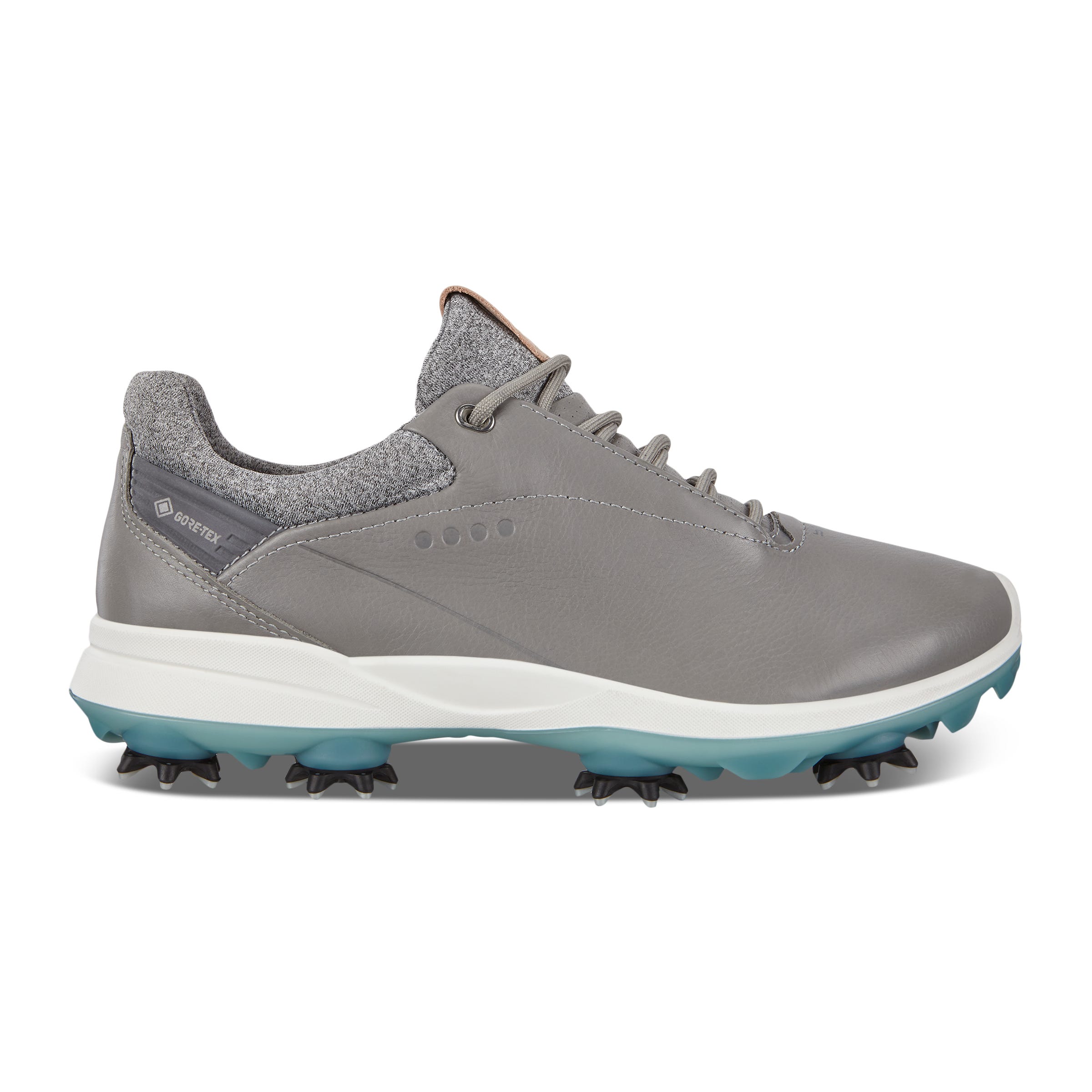 ECCO Golf BIOM G3 - Grey - Outside
