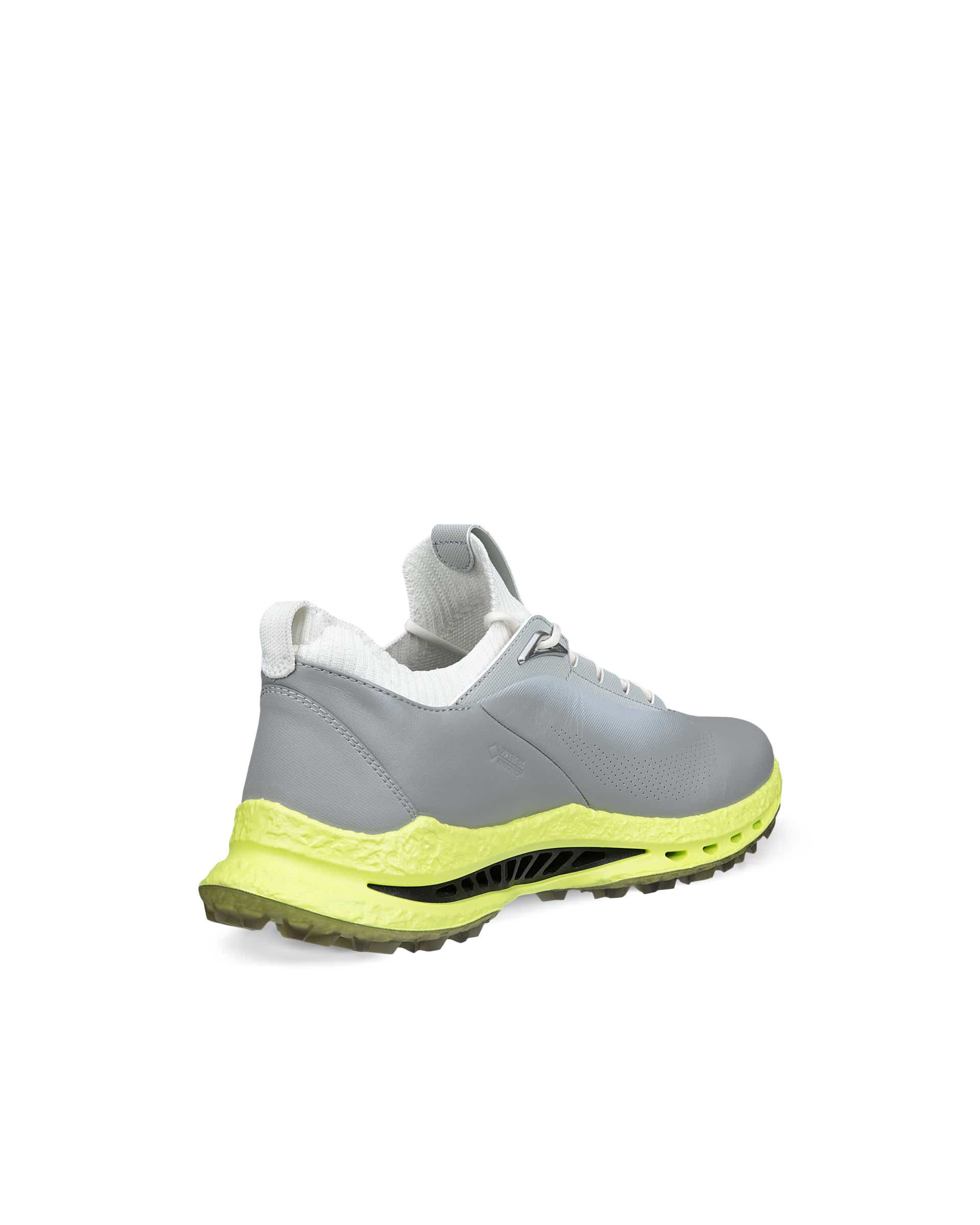 Men's ECCO® Golf Biom C5 Leather Gore-Tex Golf Shoe - Gray - Back