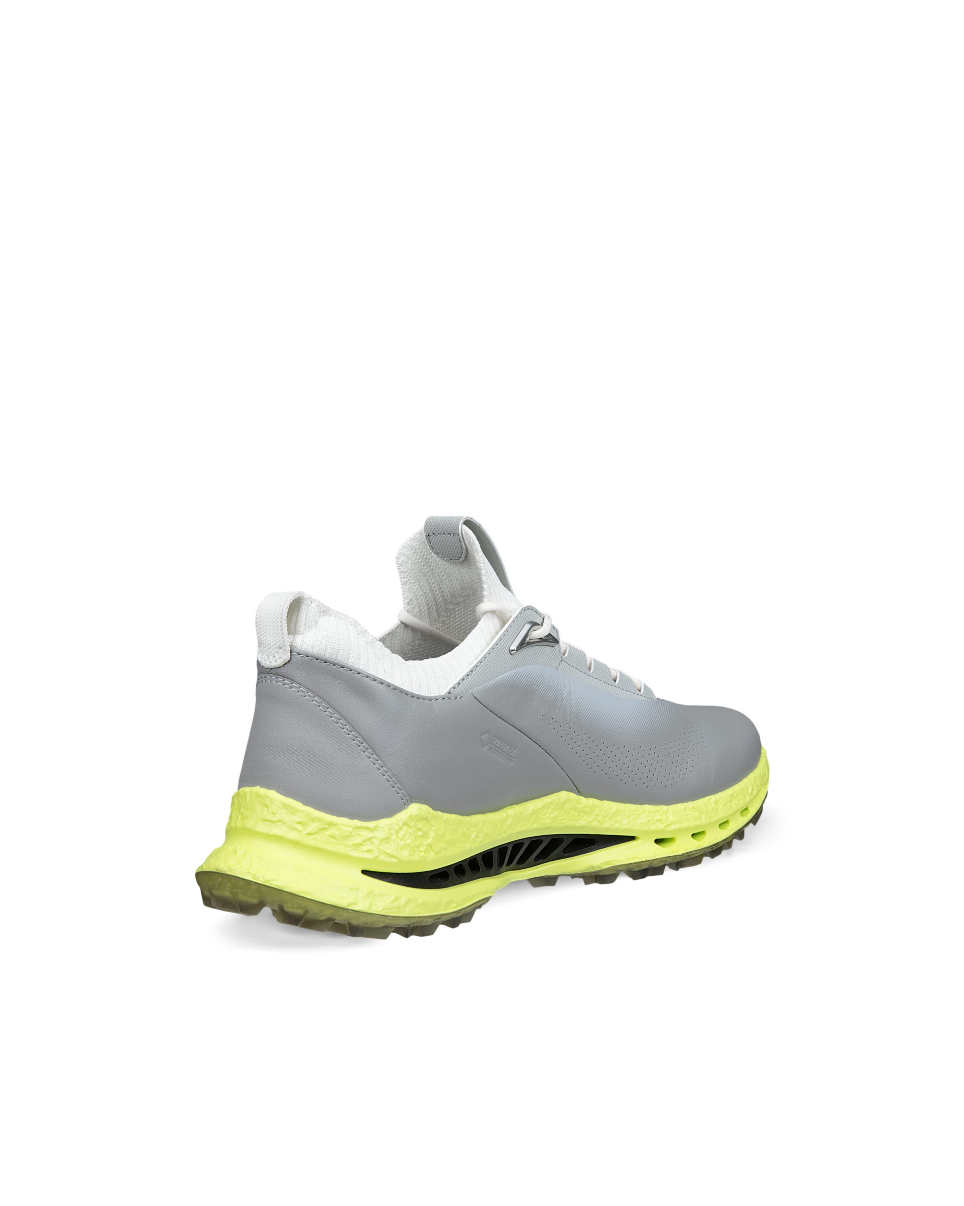 Men's ECCO® Golf Biom C5 Leather Gore-Tex Golf Shoe - Gray - Back