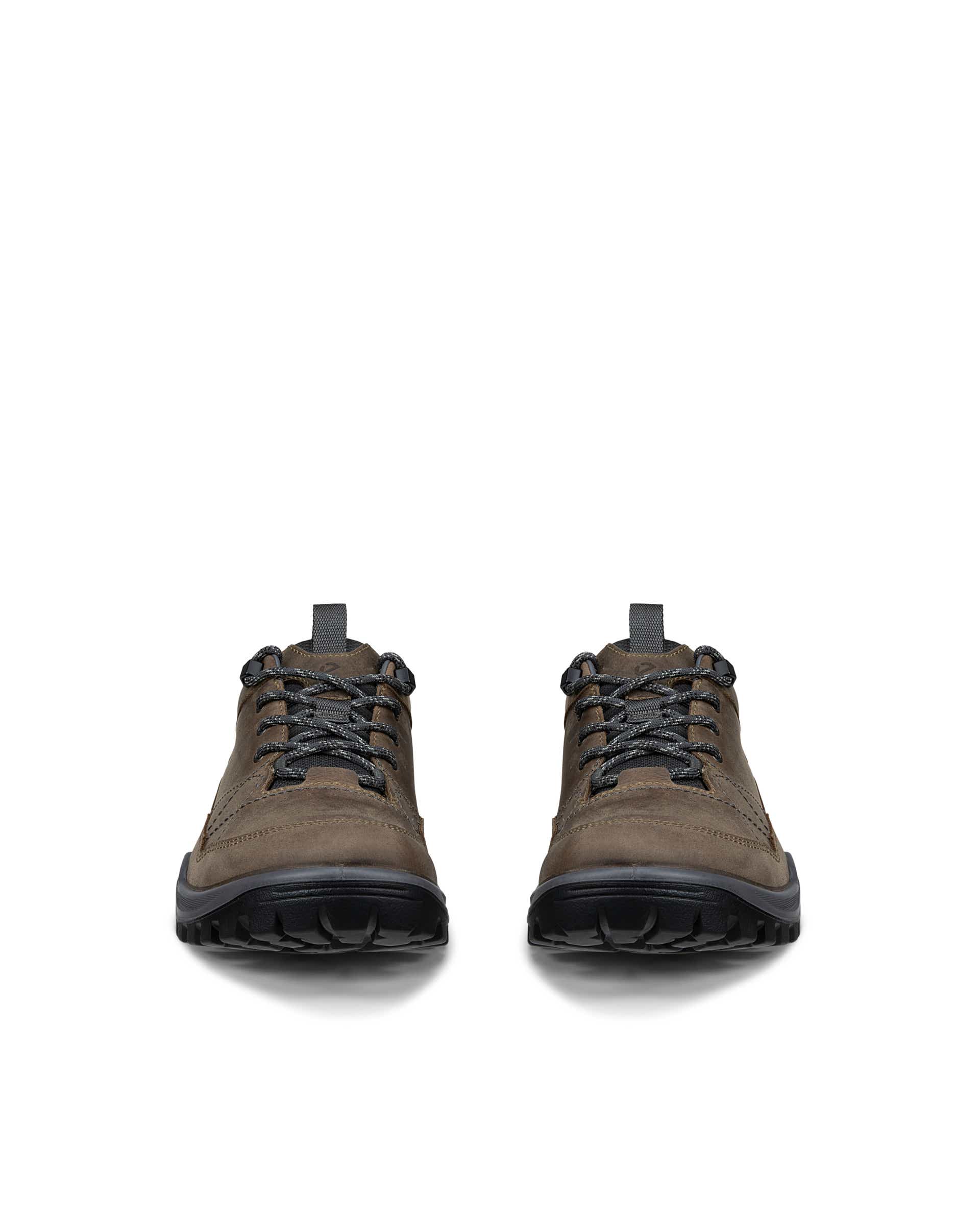 Men's ECCO® RECEPTOR TREKK Nubuck Waterproof Hiking Shoe - Brown - Front pair