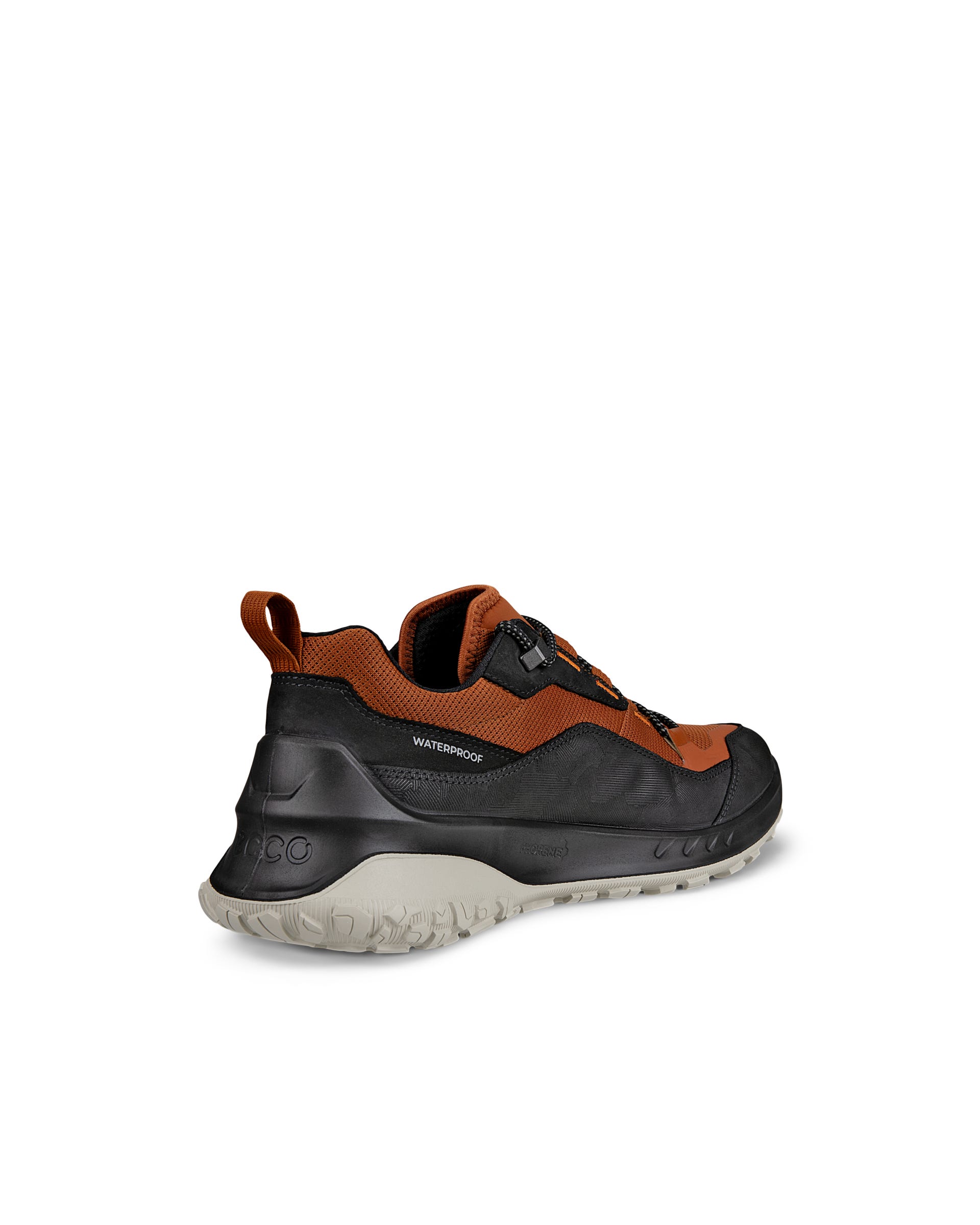 ECCO ULT-TRN Low メンズ ヌバックウォータープルーフハイキングシューズ - ブラウン - Back