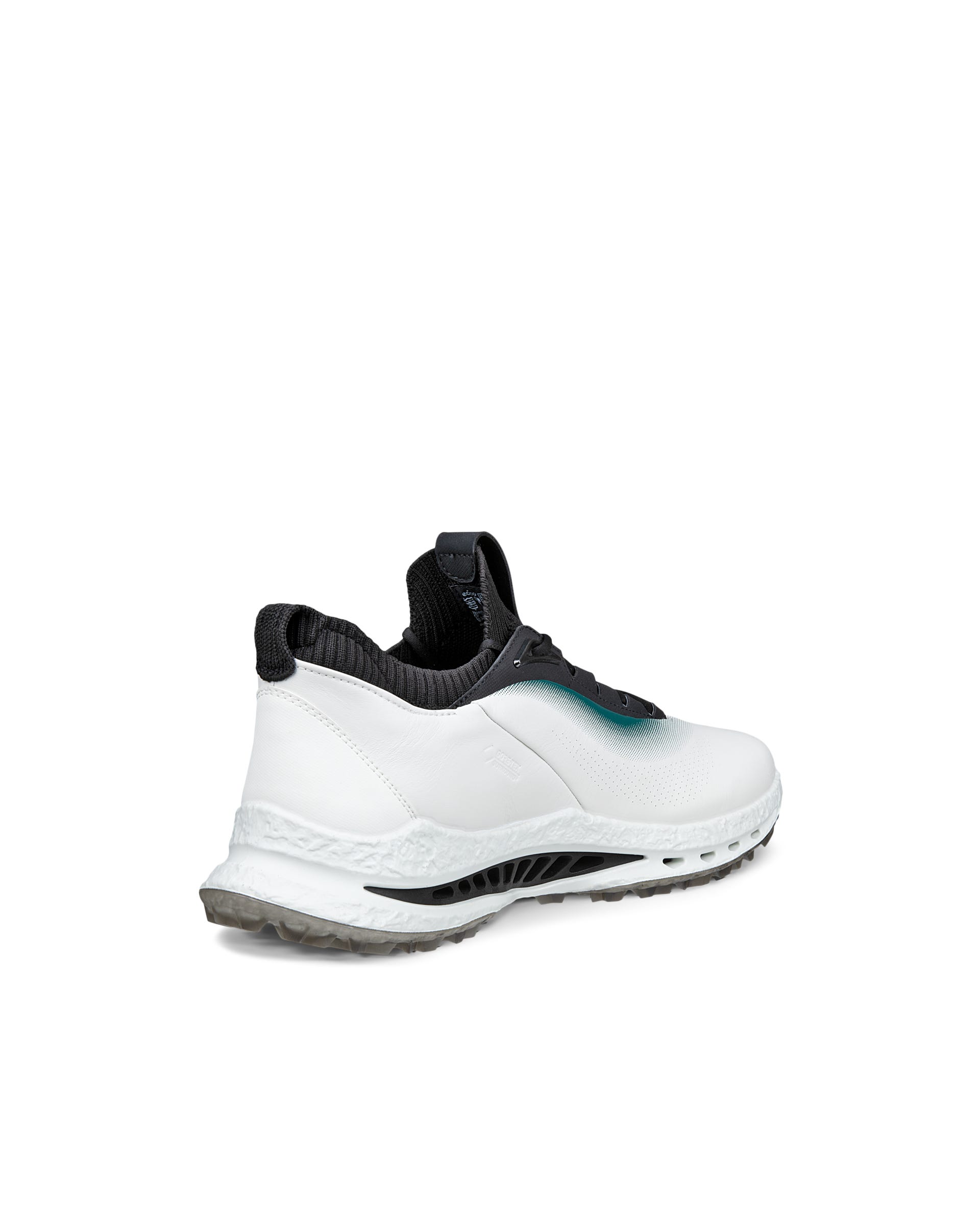 ECCO GOLF BIOM C5 MEN メンズ レザーGore-Texゴルフシューズ - ホワイト - Outside