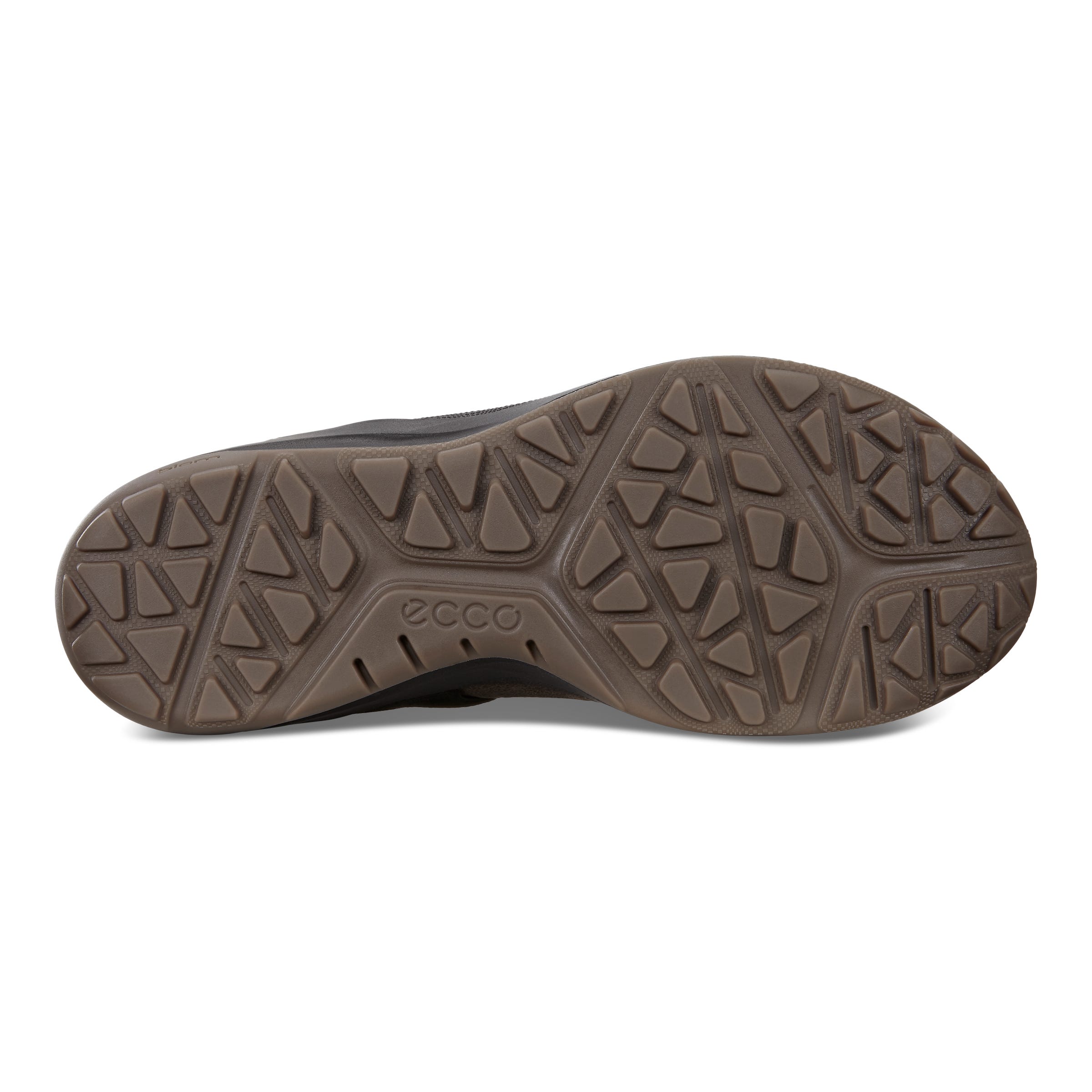 ECCO BIOM 2GO M LOW GTX - Brown - Sole