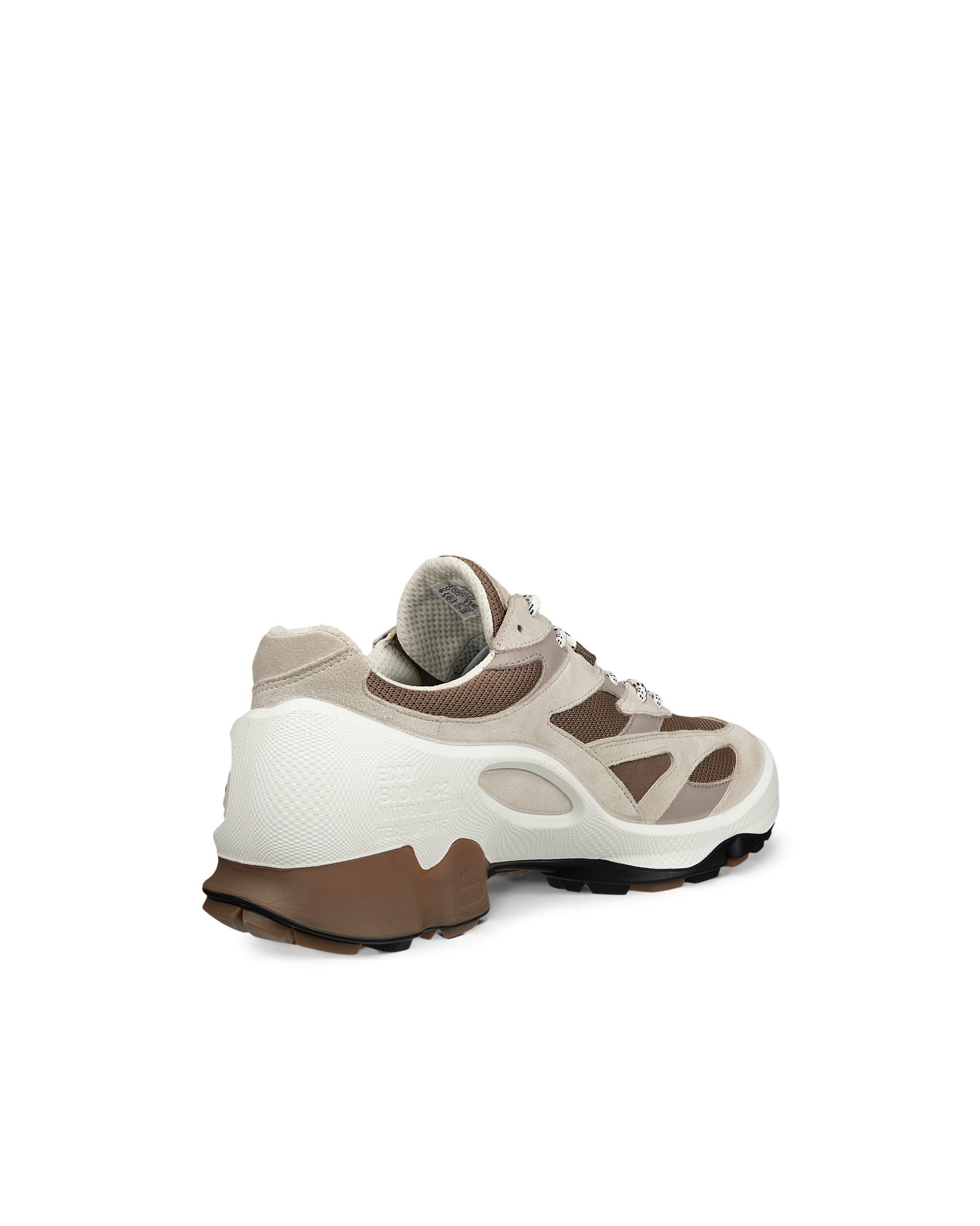 ECCO® BIOM C2-TRAIL baskets de plein air en Gore-Tex pour homme - Gris - Outside
