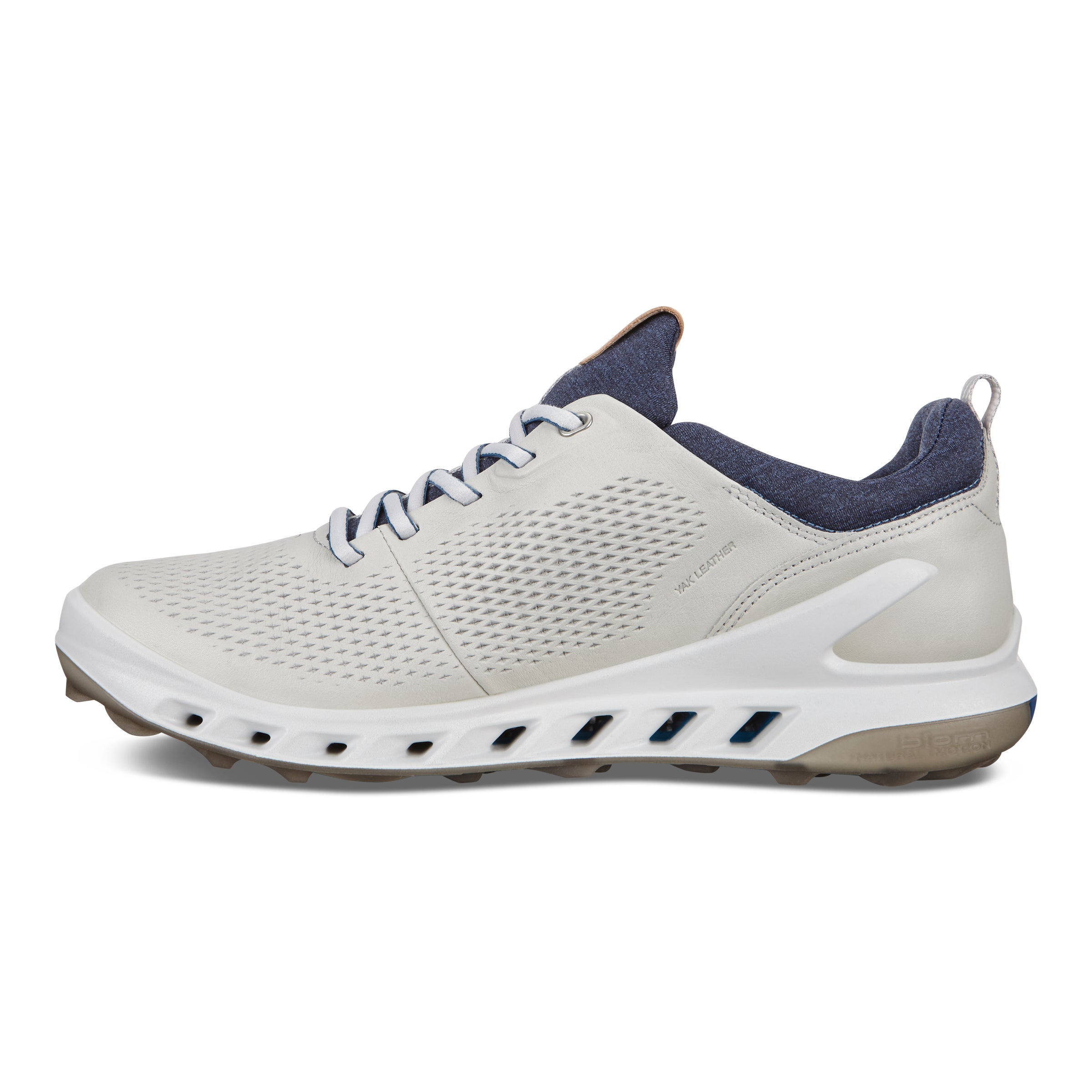 ECCO Golf BIOM Cool Pro Shoe | Grey