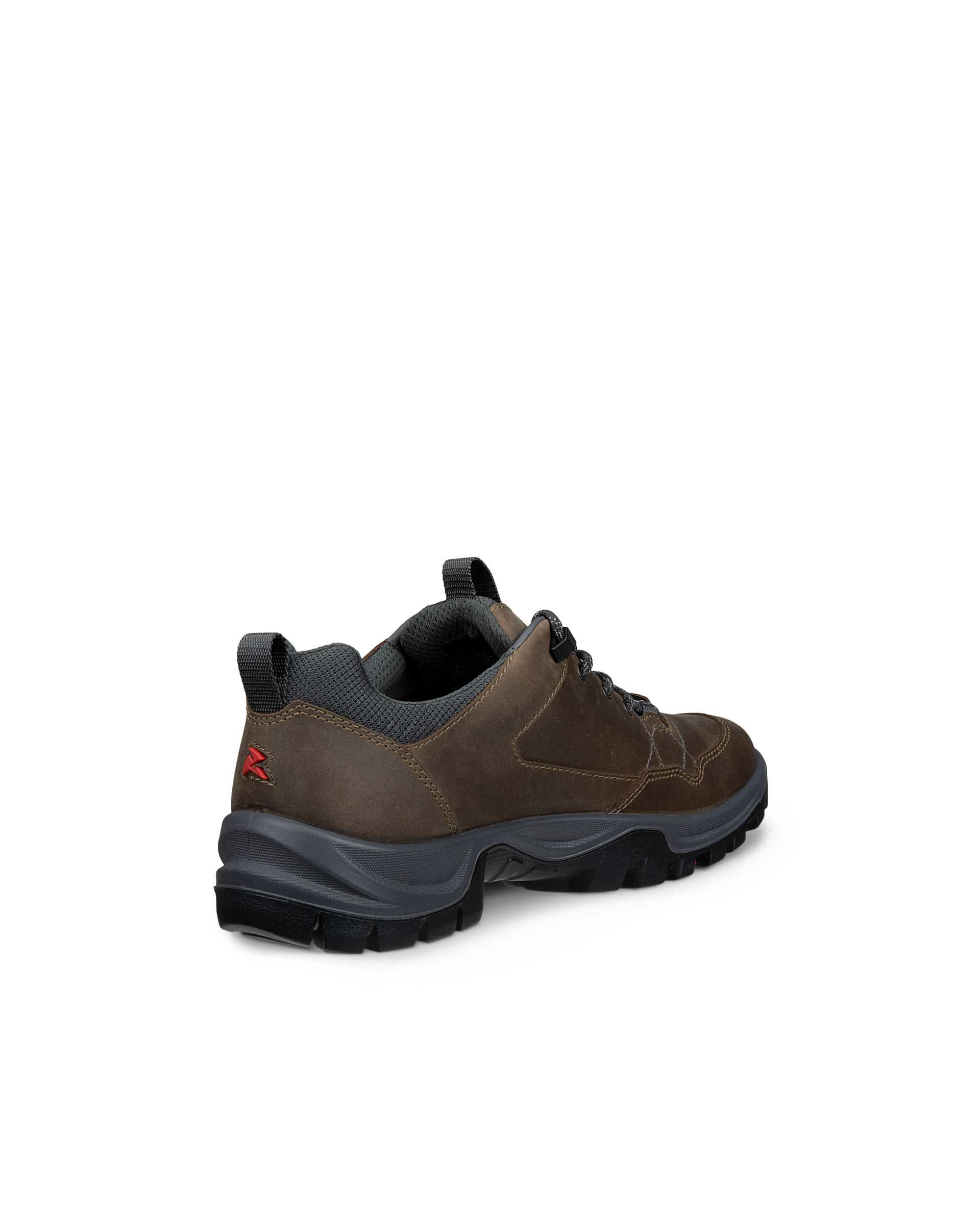 Men's ECCO® RECEPTOR TREKK Nubuck Waterproof Hiking Shoe - Brown - Back