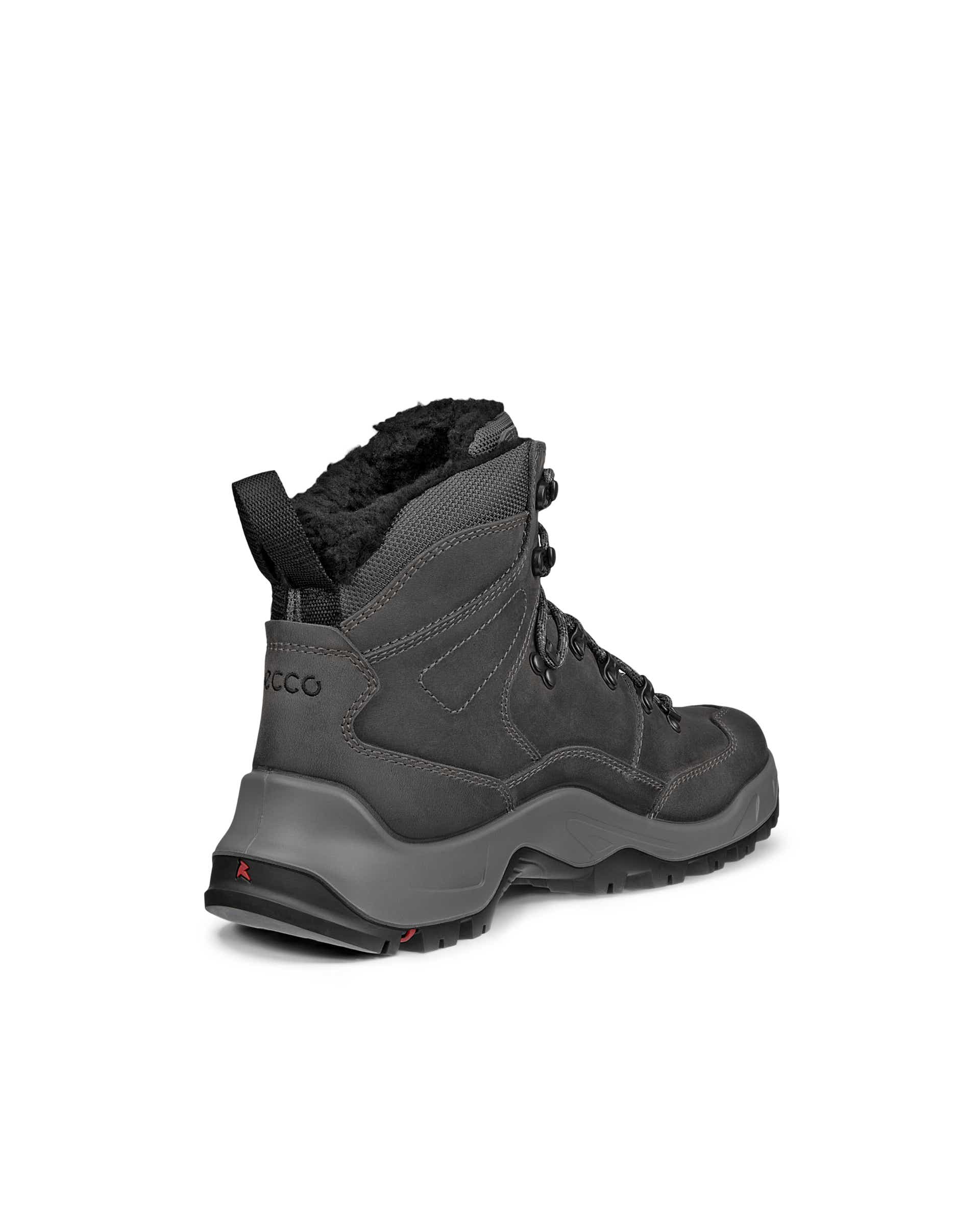 ECCO OFFROAD M BOOT WARM WP - Gris - Back