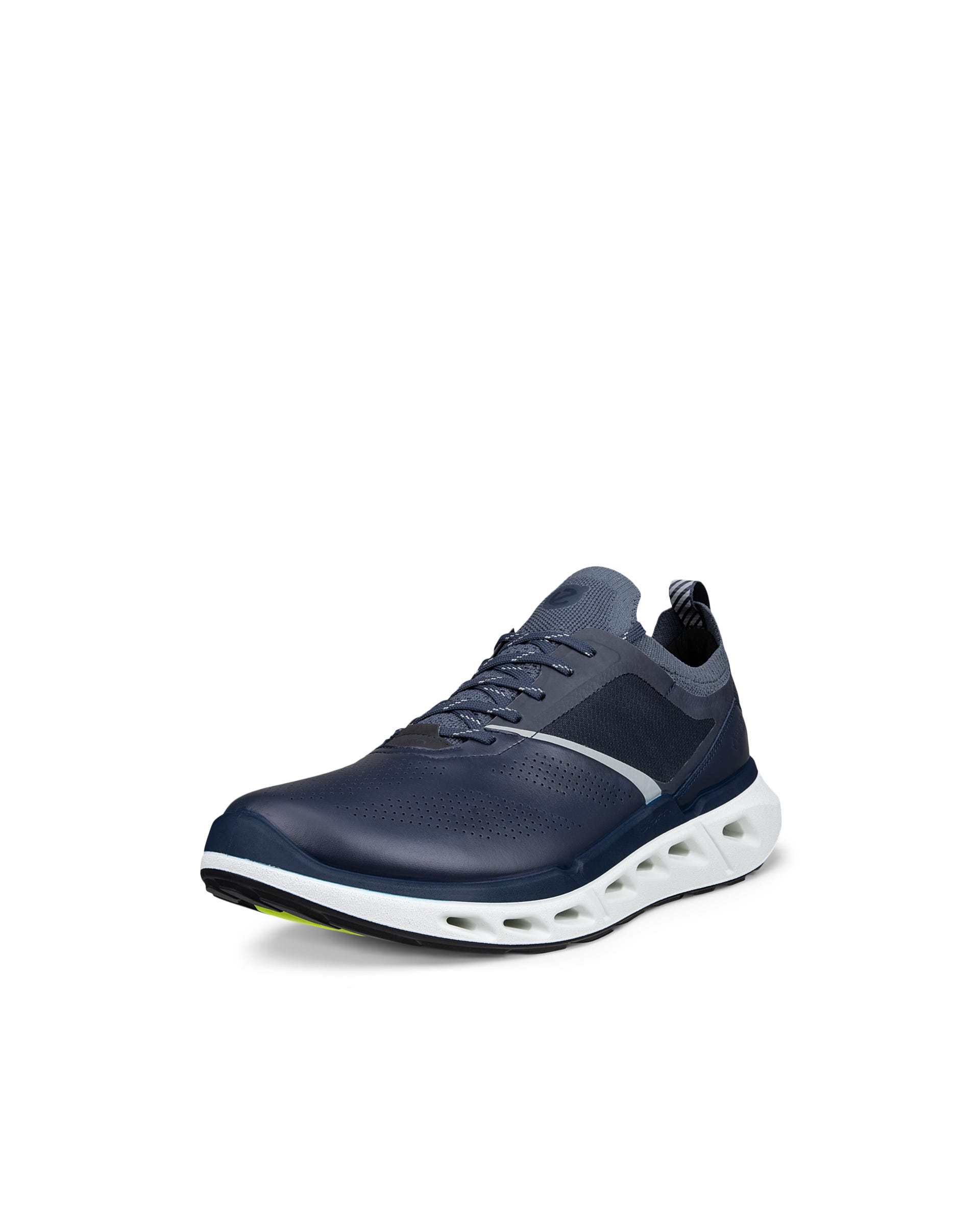 ECCO BIOM 720 MEN メンズ レザーGore-Texスニーカー | ブルー