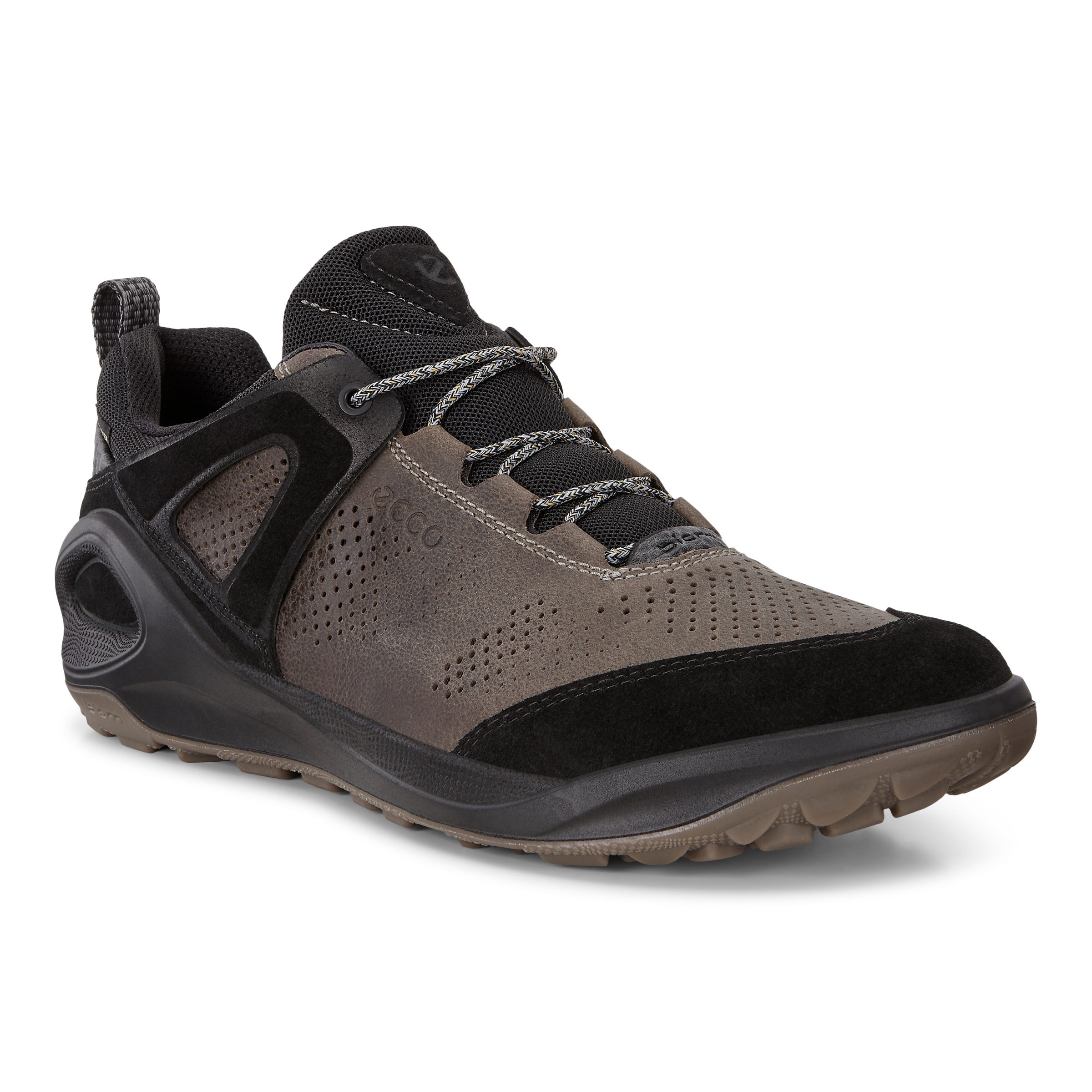 ECCO BIOM 2GO M LOW GTX - Brown - Main