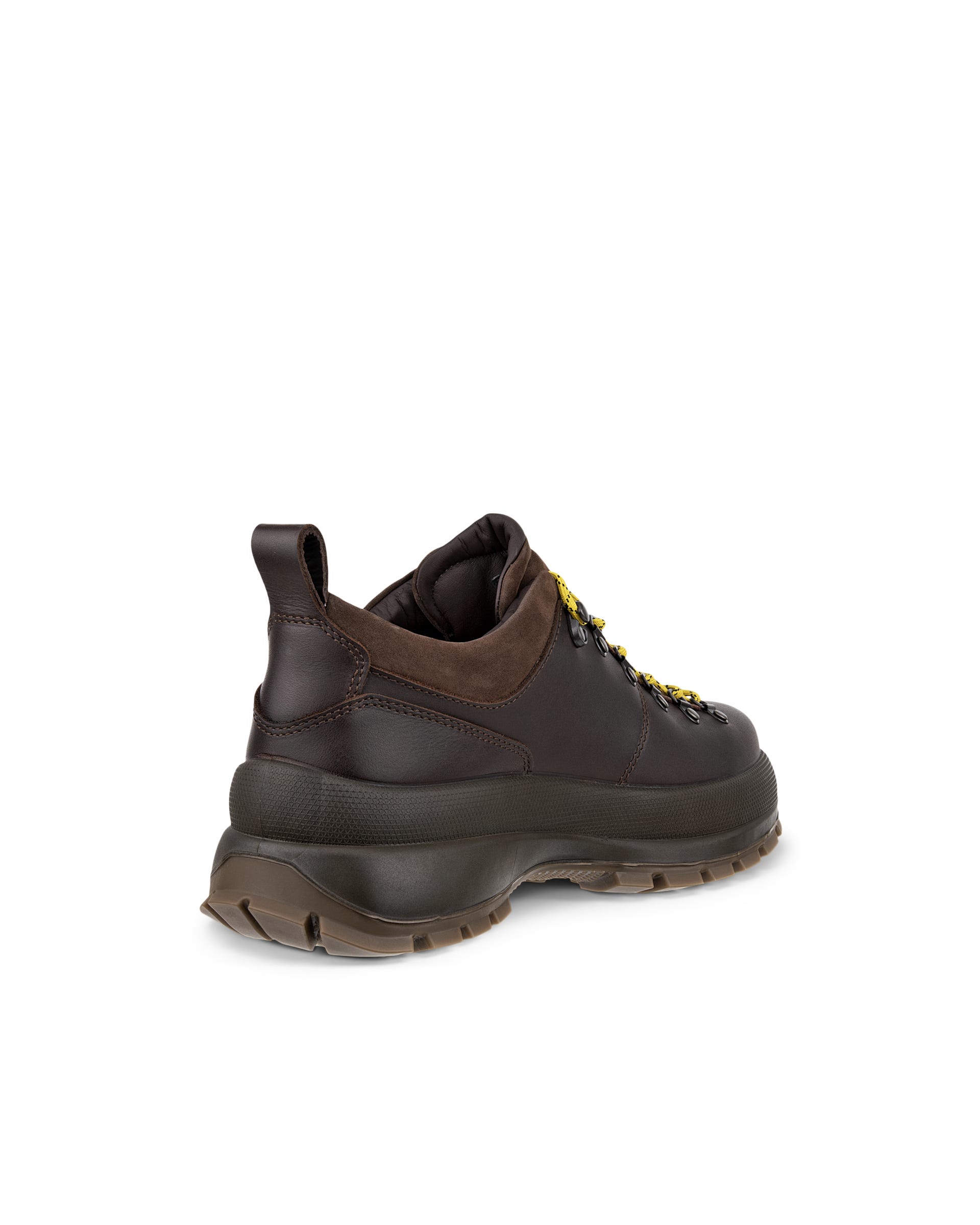 Men's ECCO® Track 30 Leather Waterproof Shoe - Brown - Back