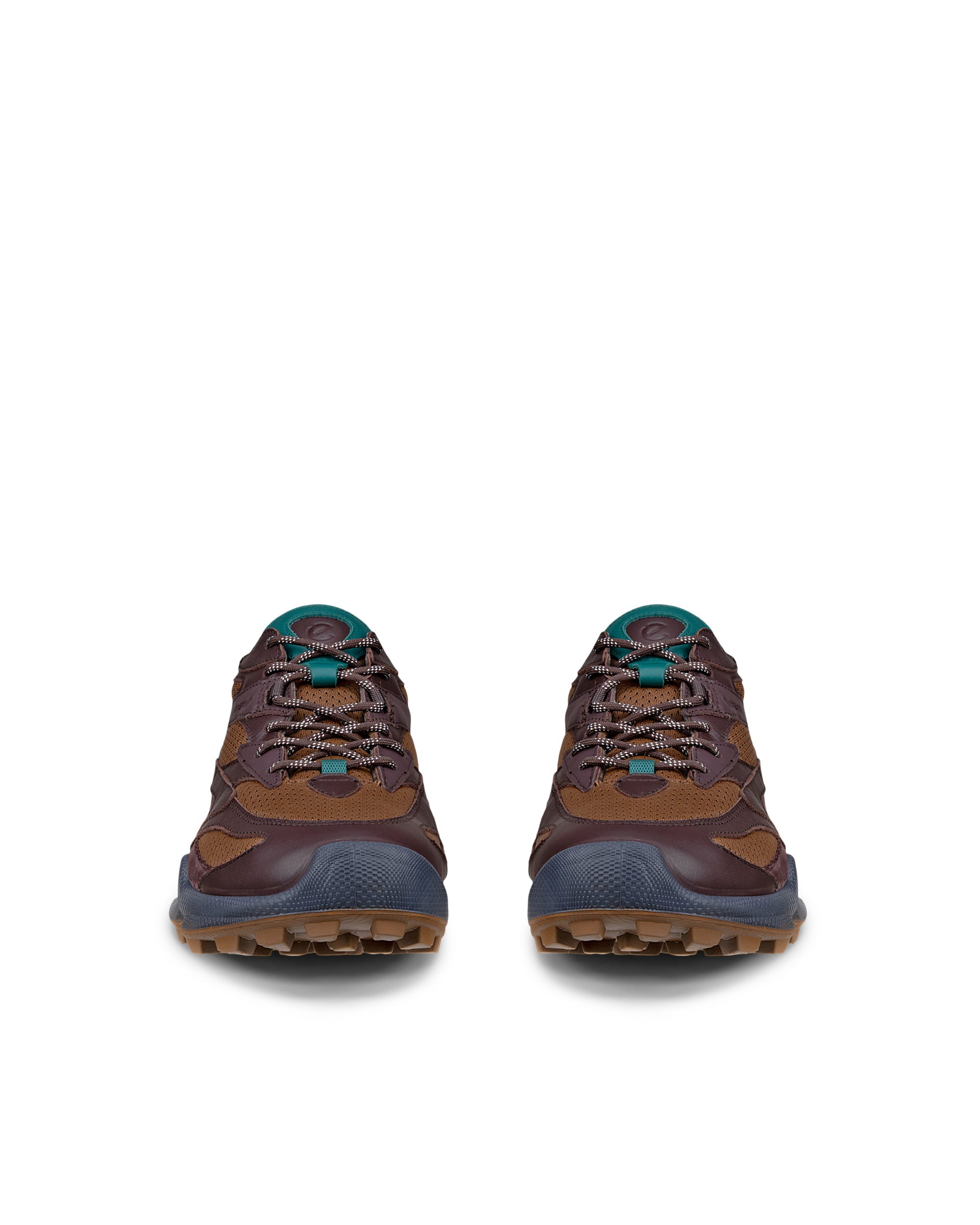 Men's ECCO® BIOM C-TRAIL Gore-Tex Trainer | Brown