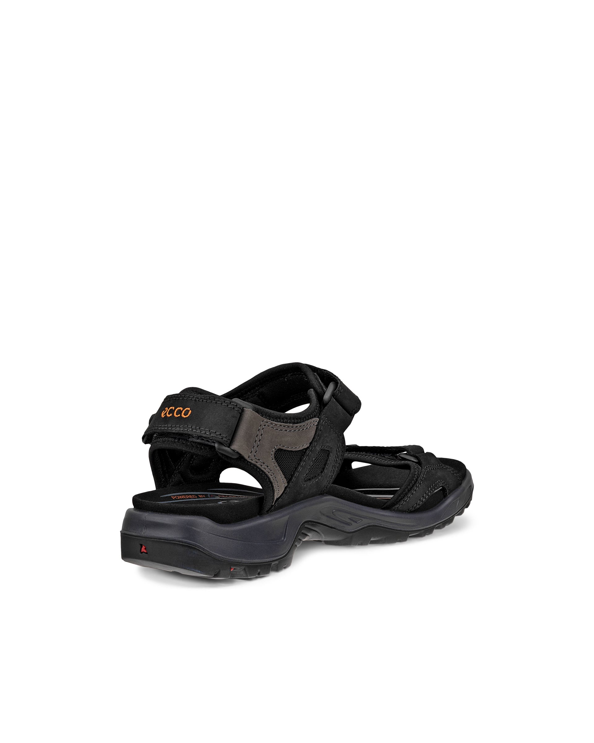 Pánske nubukové trekingové sandále ECCO® Offroad - Čierna - Back