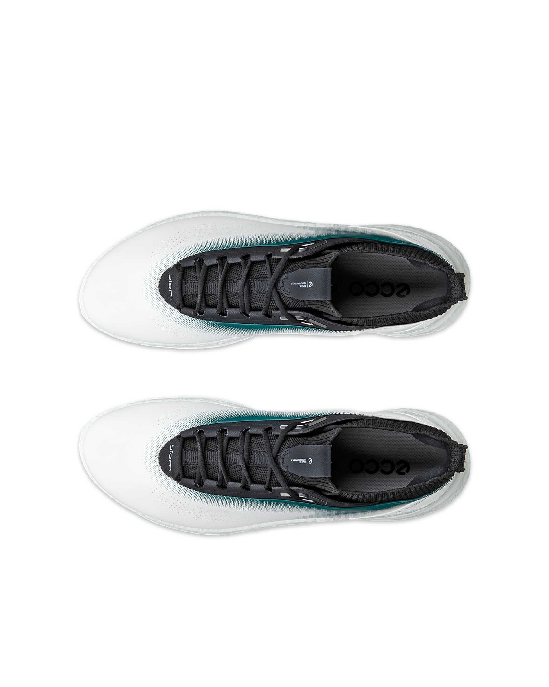 ECCO GOLF BIOM C5 MEN メンズ レザーGore-Texゴルフシューズ - ホワイト - Top left pair