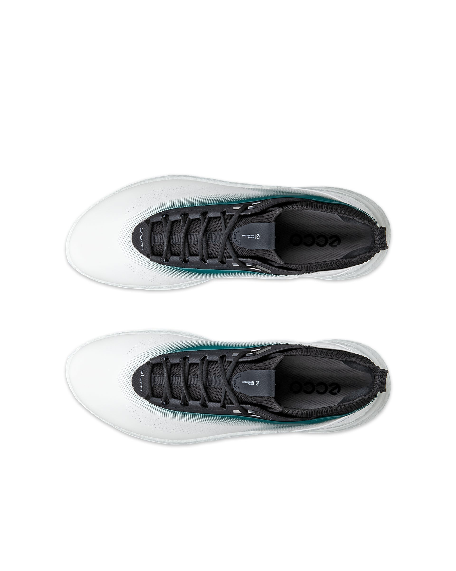 ECCO GOLF BIOM C5 MEN メンズ レザーGore-Texゴルフシューズ - ホワイト - Outside