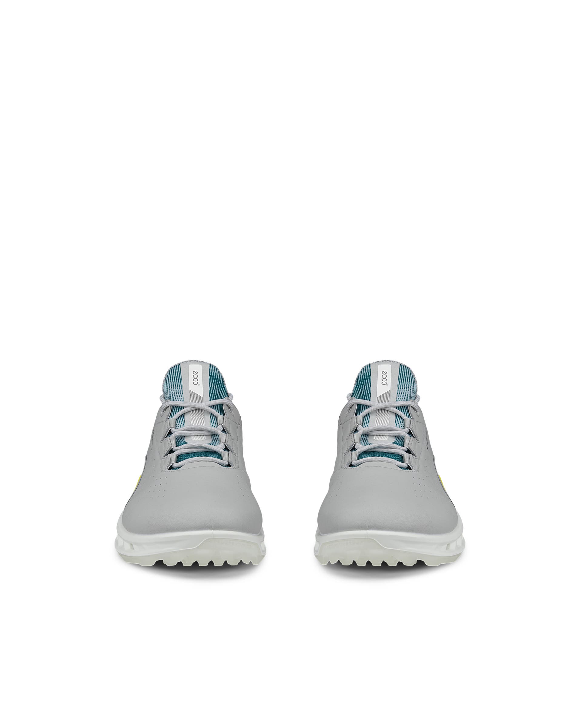 ECCO BIOM C4 ゴアテックス ゴルフシューズ グレー 39 ECCO Golf BIOM C4 Men メンズ レザーGore-Texゴルフシューズ