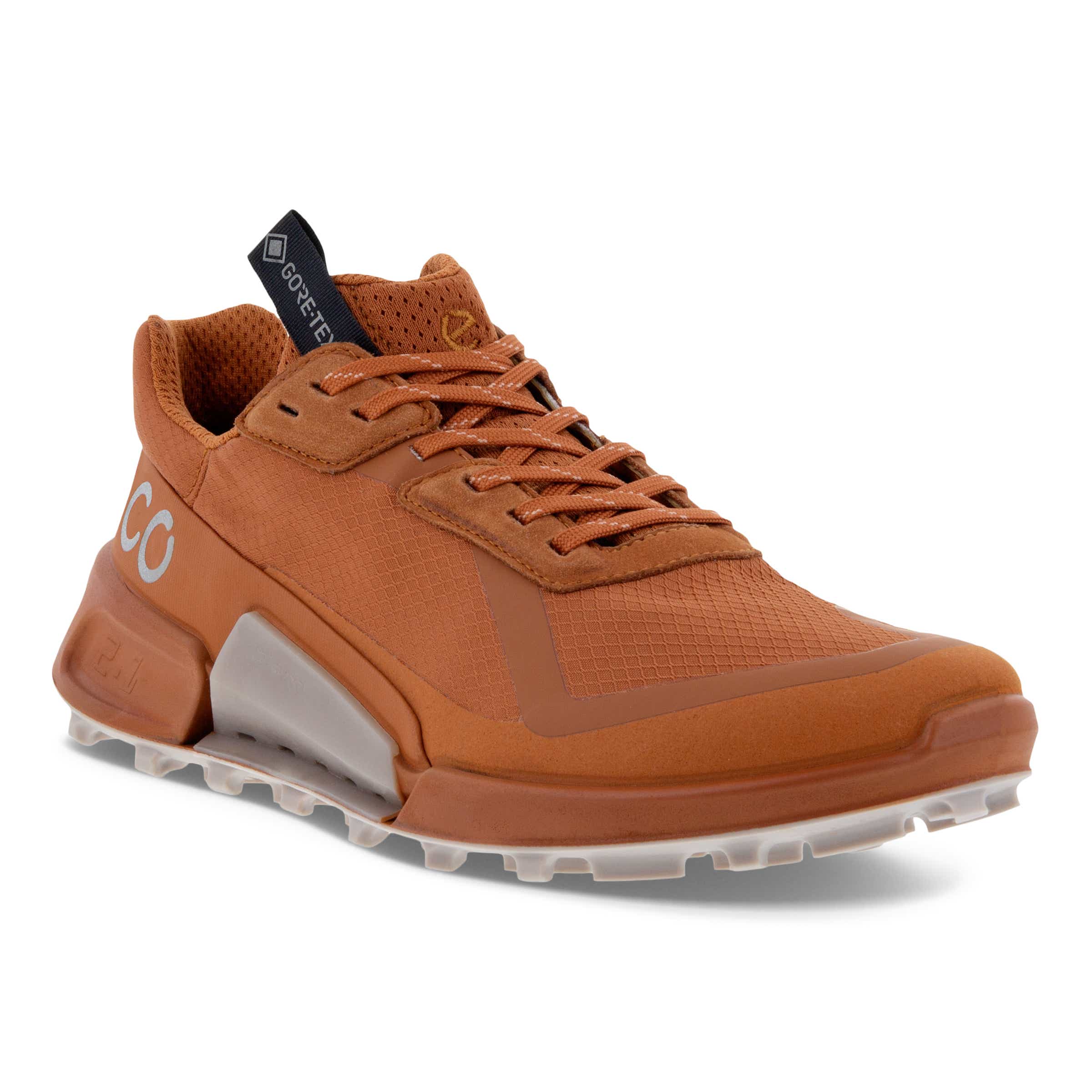 オステオトーム ECCO BIOM 2.1 X Country Low ウィメンズ テキスタイルGore-Tex
