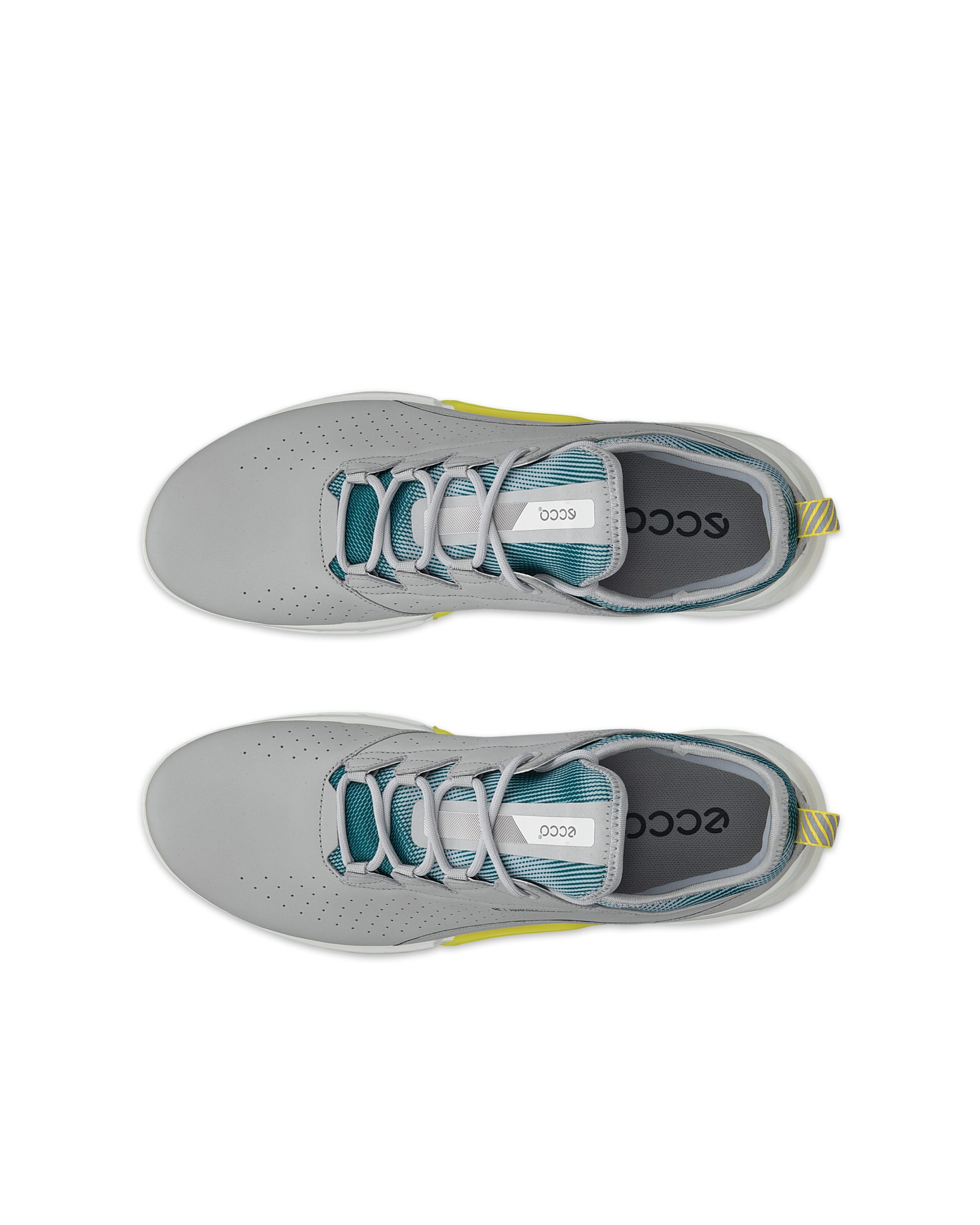 ECCO BIOM C4 ゴアテックス ゴルフシューズ グレー 39 ECCO Golf BIOM C4 Men メンズ レザーGore-Texゴルフシューズ