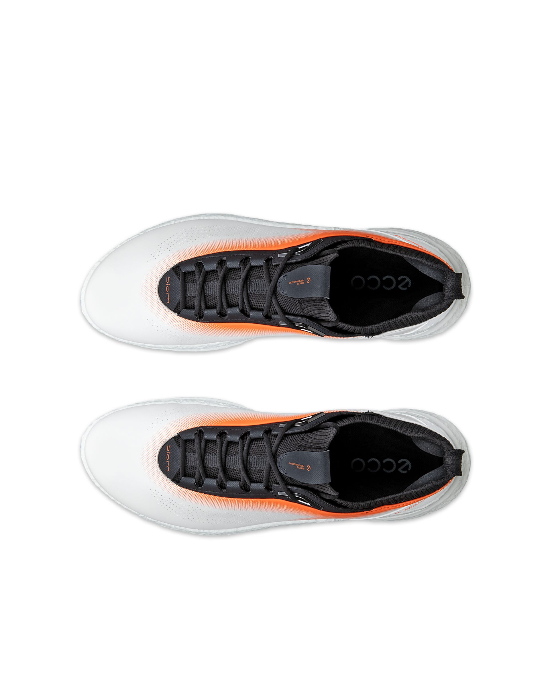 ECCO® GOLF BIOM C5 Gore-Tex-iga nahast golfijalats meestele - Valge - Outside