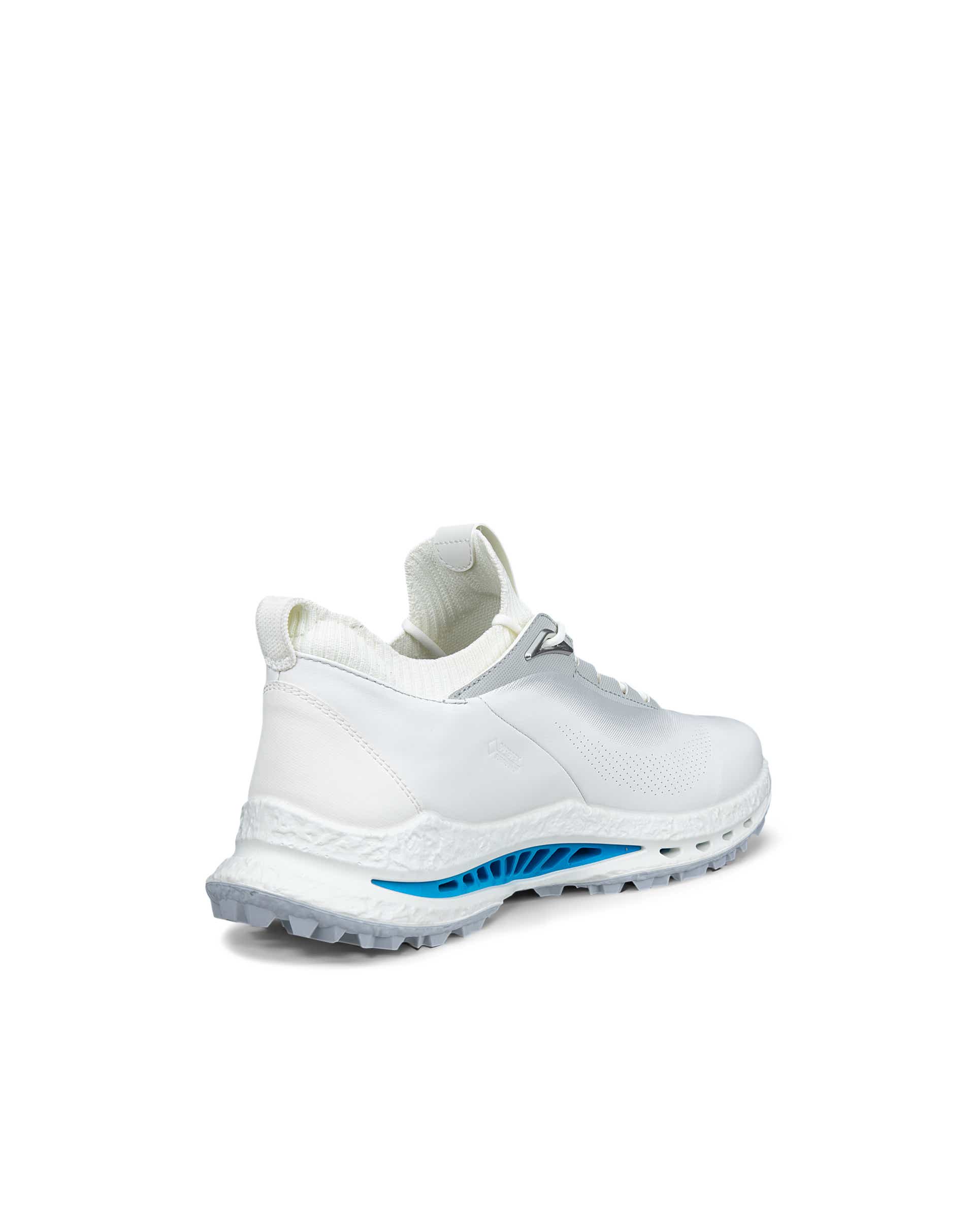 Men's ECCO® Golf Biom C5 Leather Gore-Tex Golf Shoe - White - Back