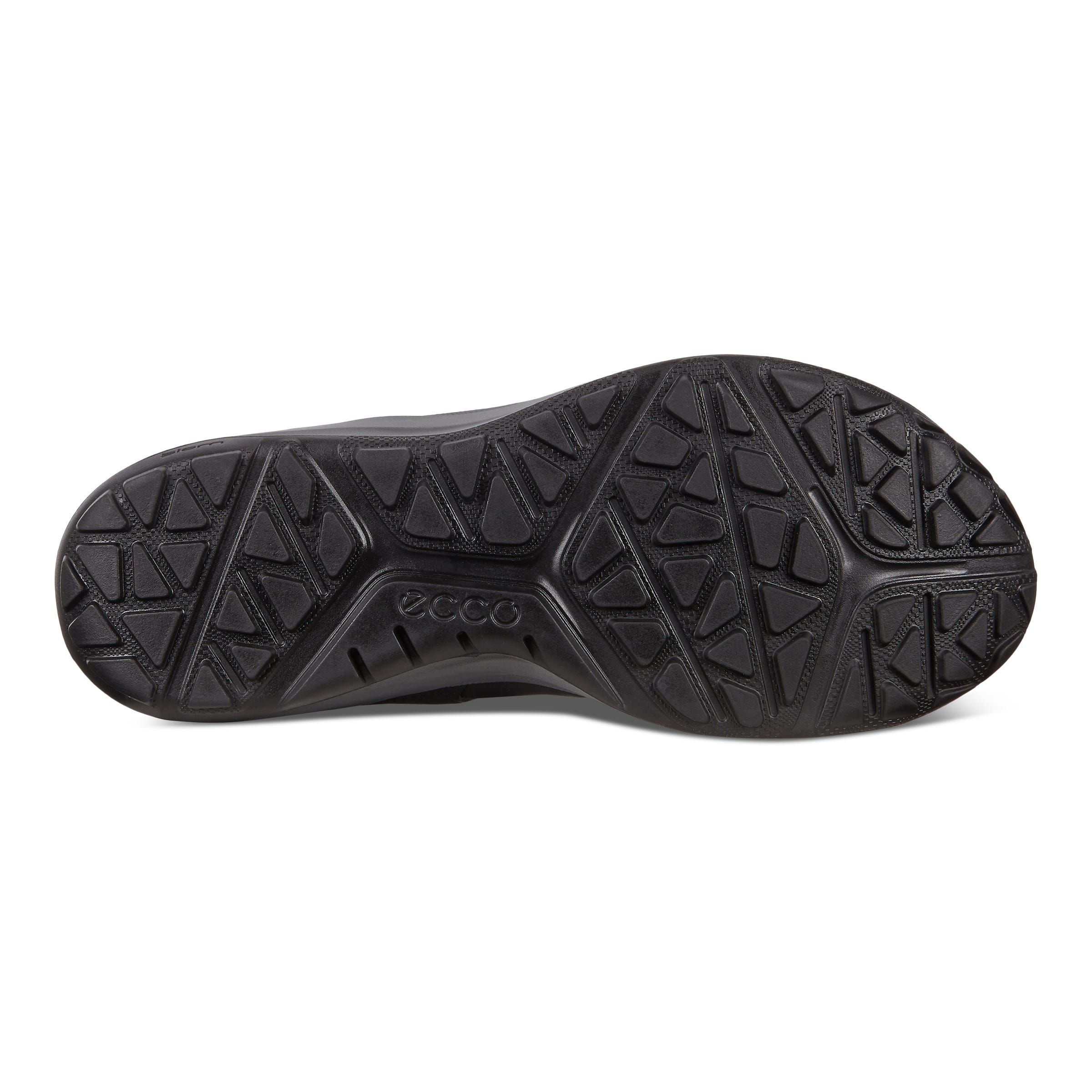 ECCO BIOM 2GO M LOW - Black - Sole