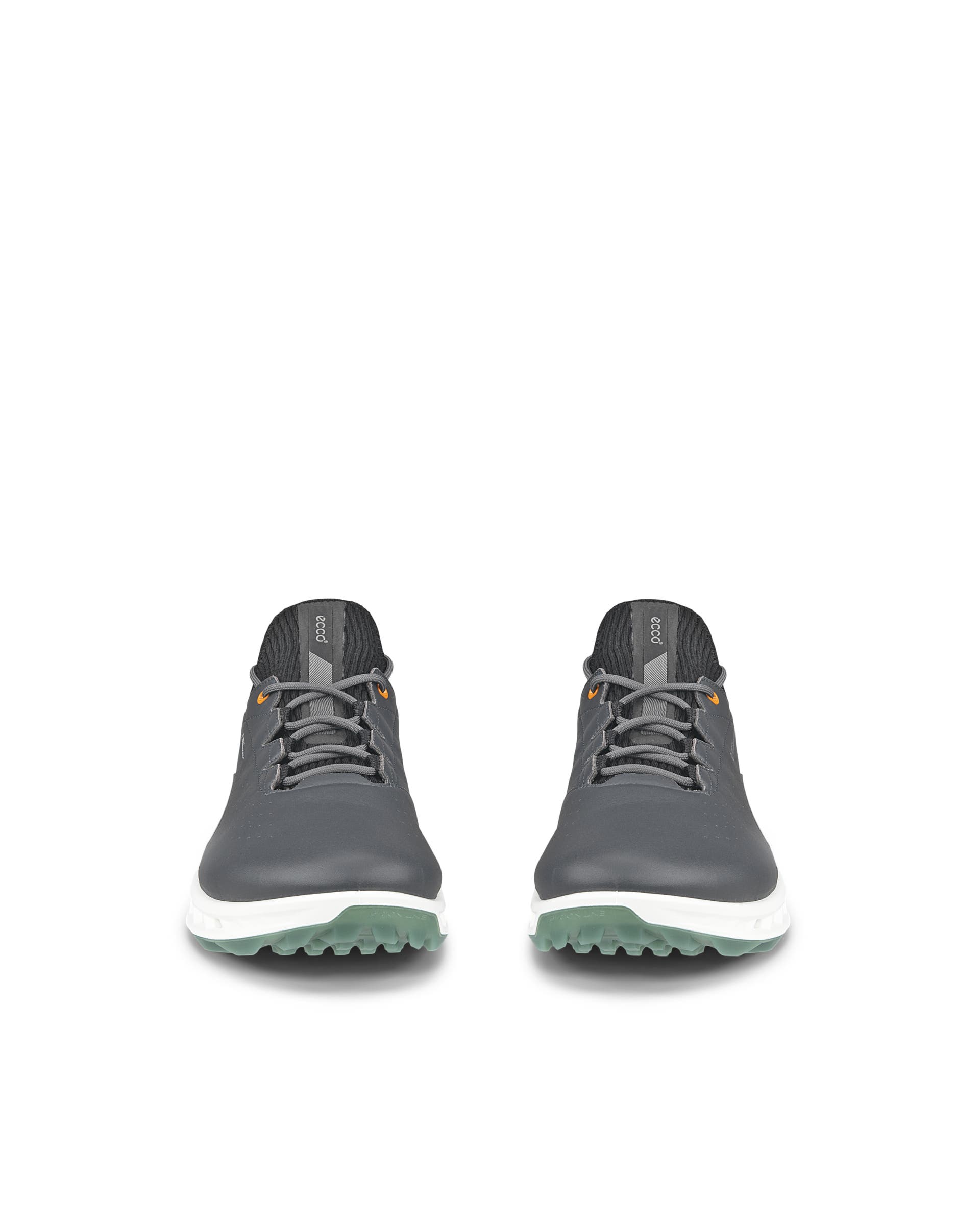 ECCO GORE-TEX BIOM C4 II gore-texゴルフシューズ ECCO Golf BIOM C4 Men メンズ レザーGore-Texゴルフシューズ